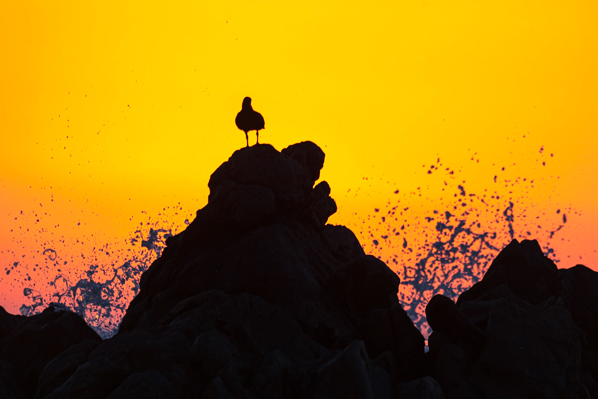 Hangklip, South Africa ©McNairnPhotography