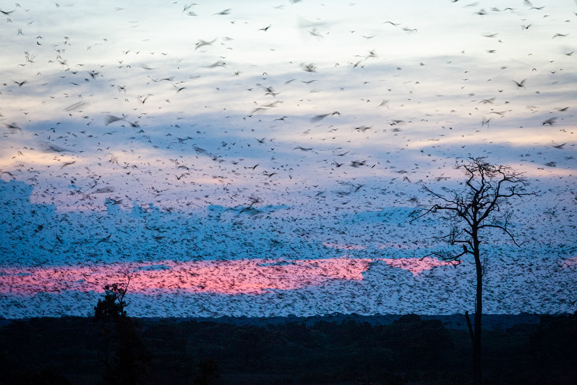 ©McNairnPhotography