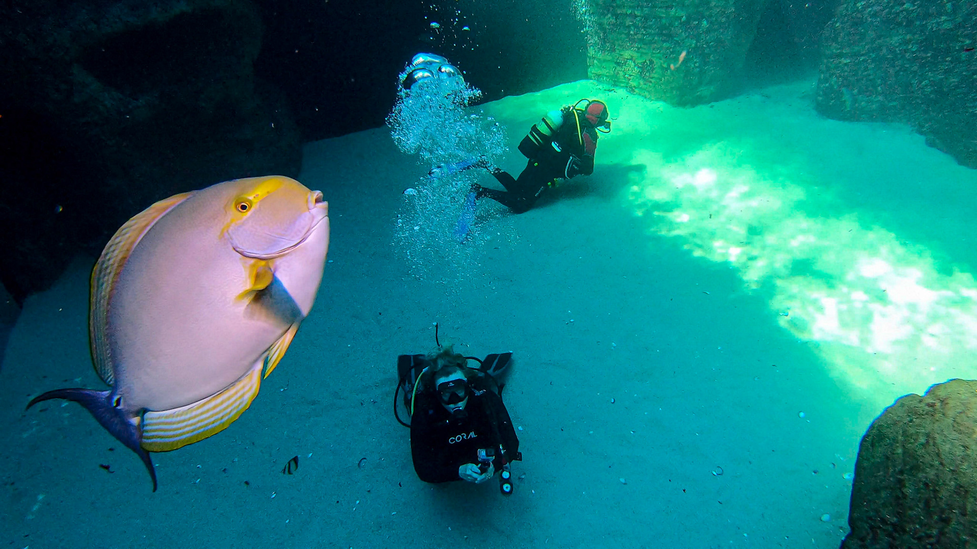 Two Oceans Aquarium ©McNairnPhotography