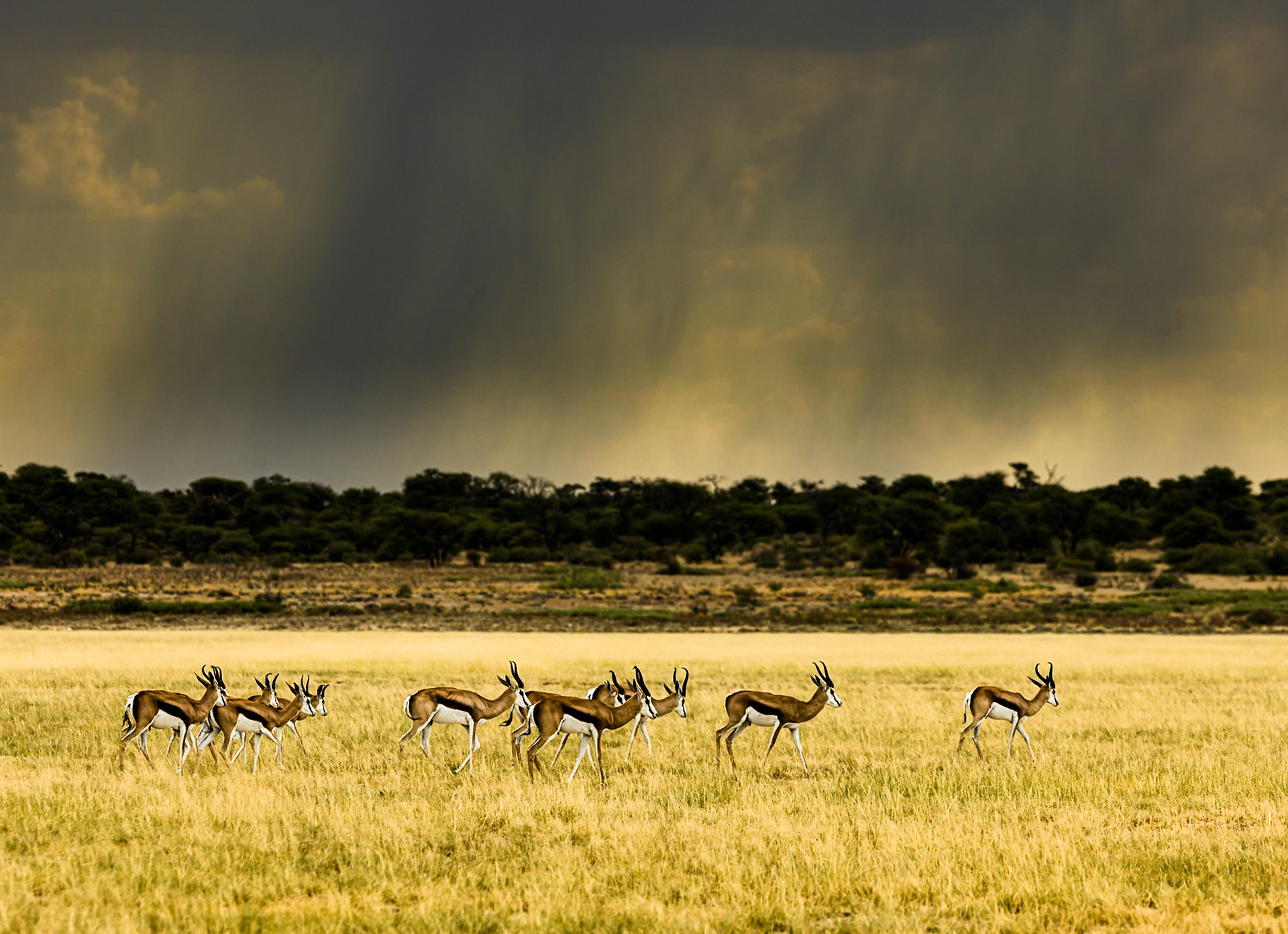 CKR Botswana ©McNairnPhotography