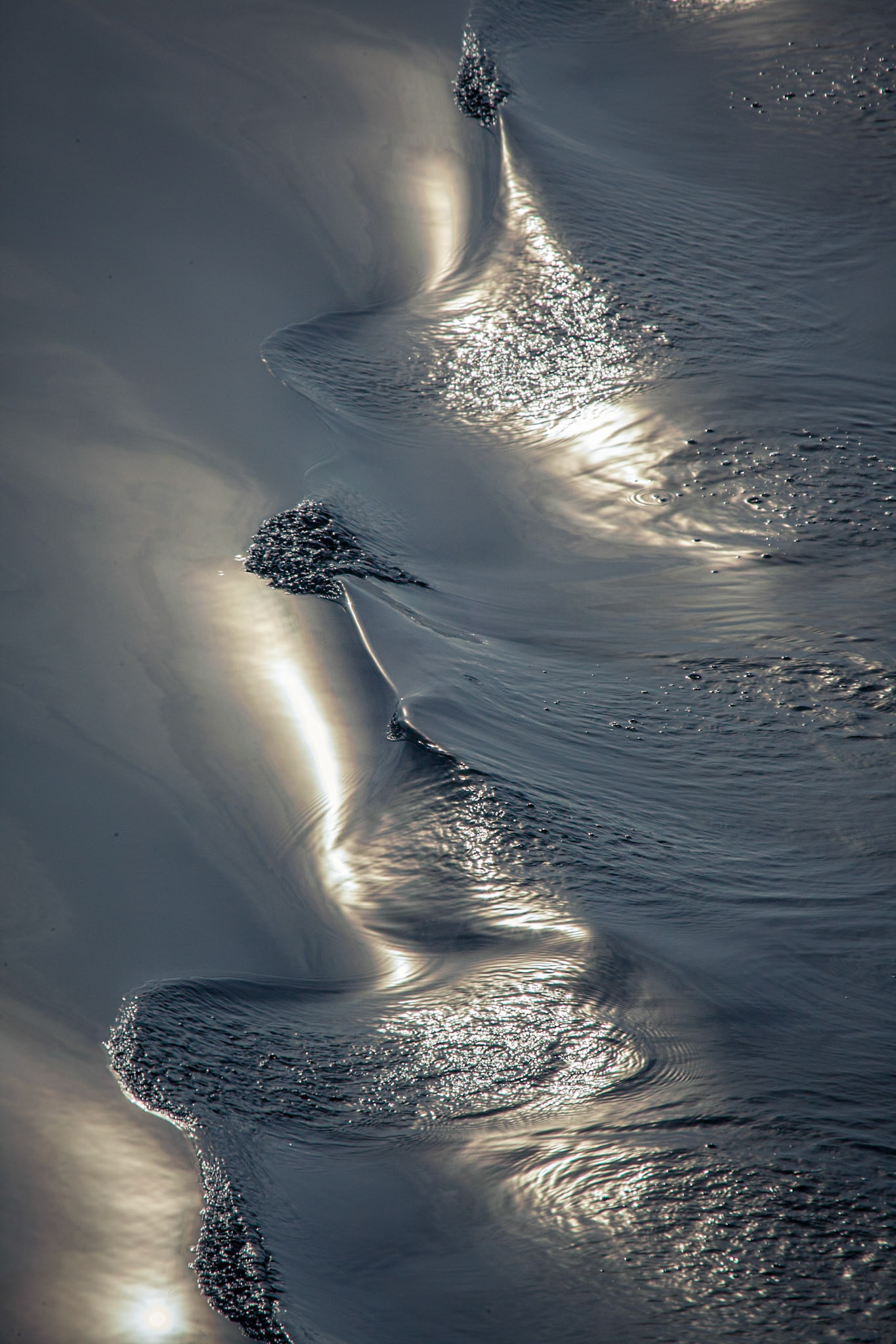 ©McNairnPhotography