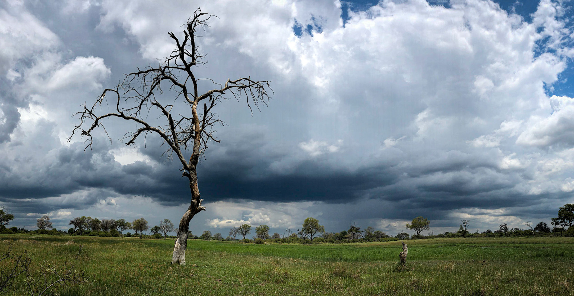 ©McNairnPhotography