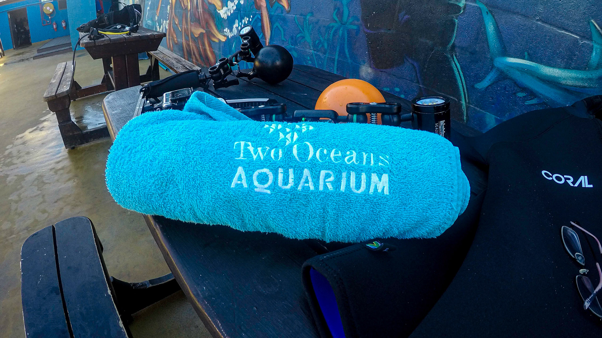 Two Oceans Aquarium ©McNairnPhotography