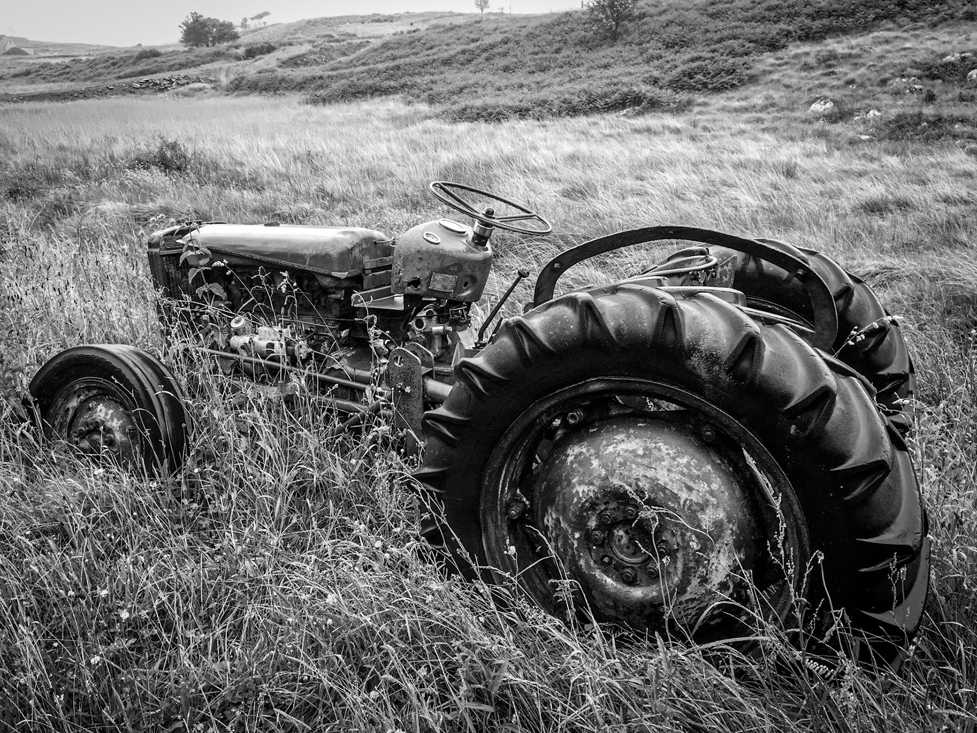 Scottish Highlands ©McNairnPhotography