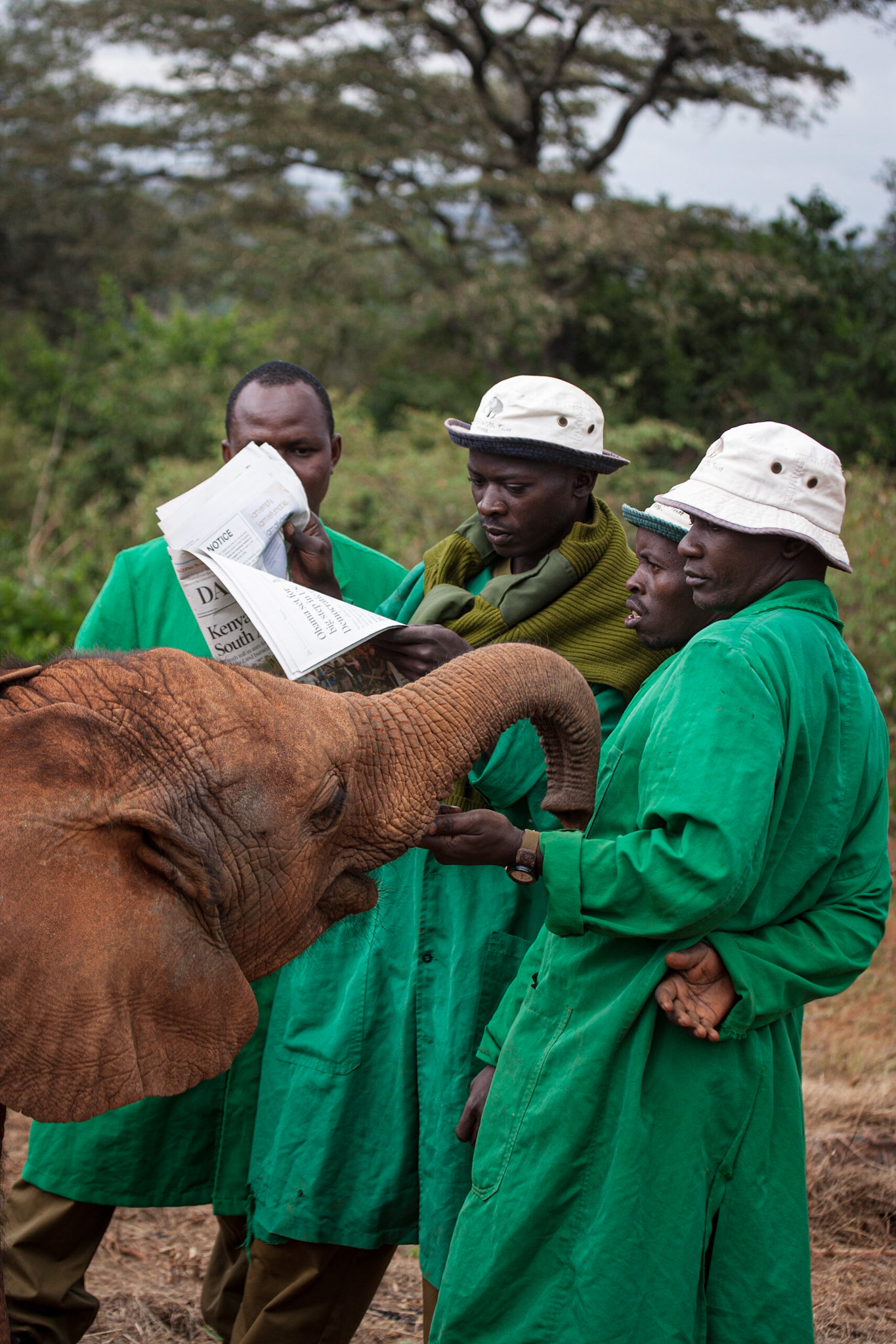 Sheldrick Wildlife Trust, Nairobi ©McNairnPhotography