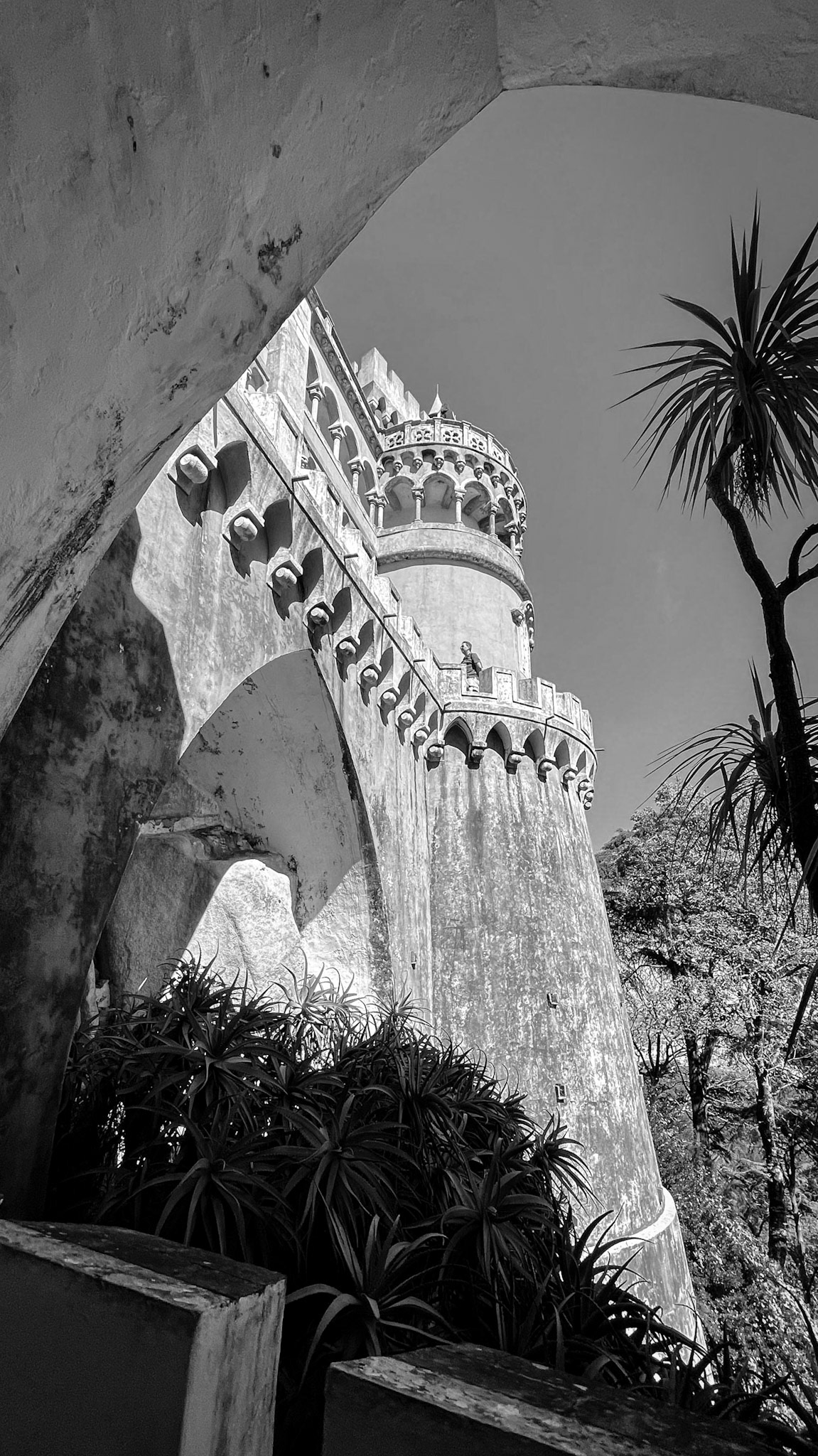 Palácio Nacional da Pena, Sintra