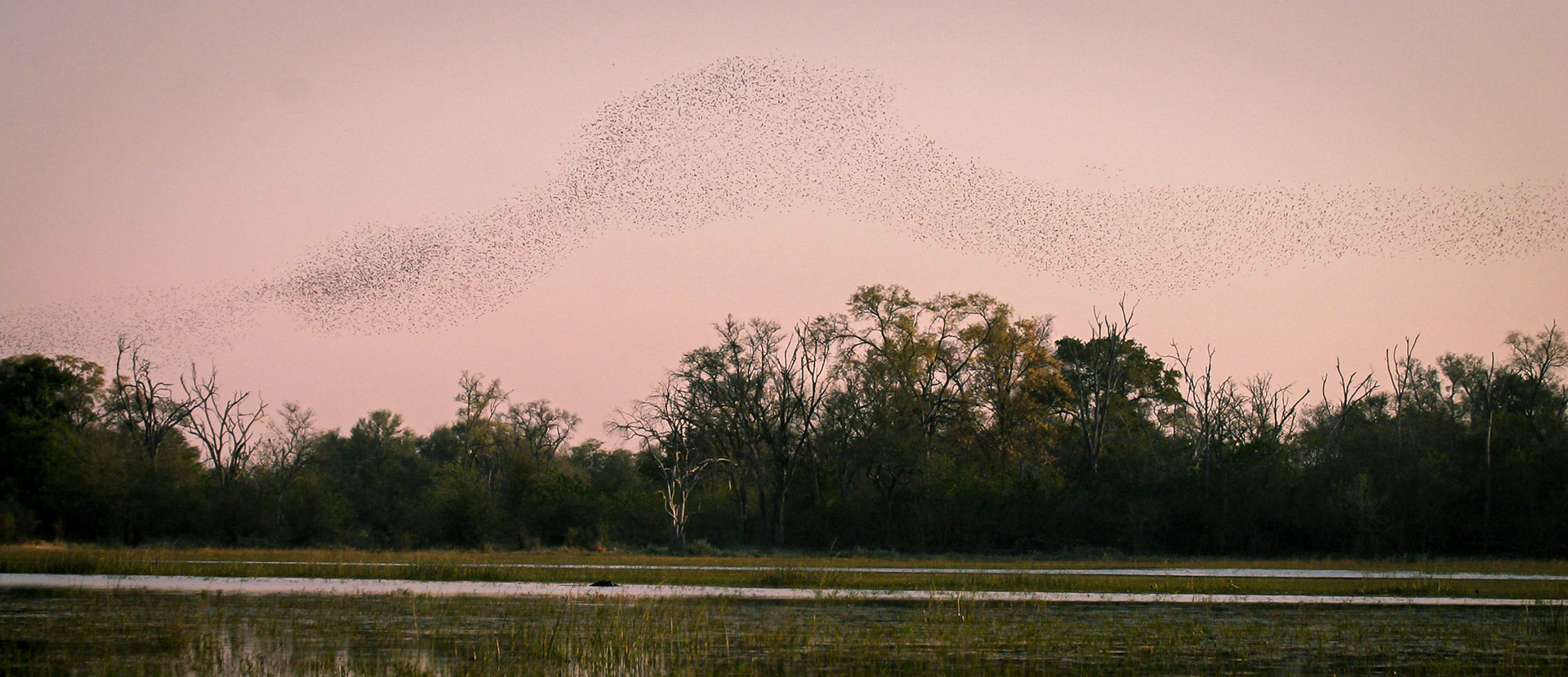 Botswana ©McNairnPhotography