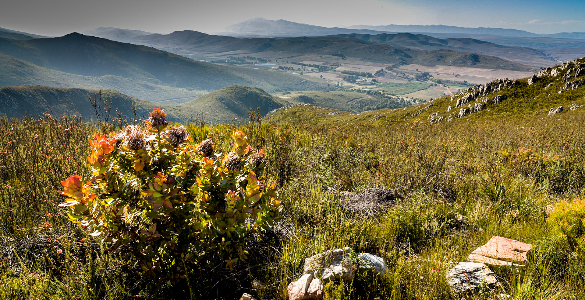 Langkloof, South Africa ©McNairnPhotography