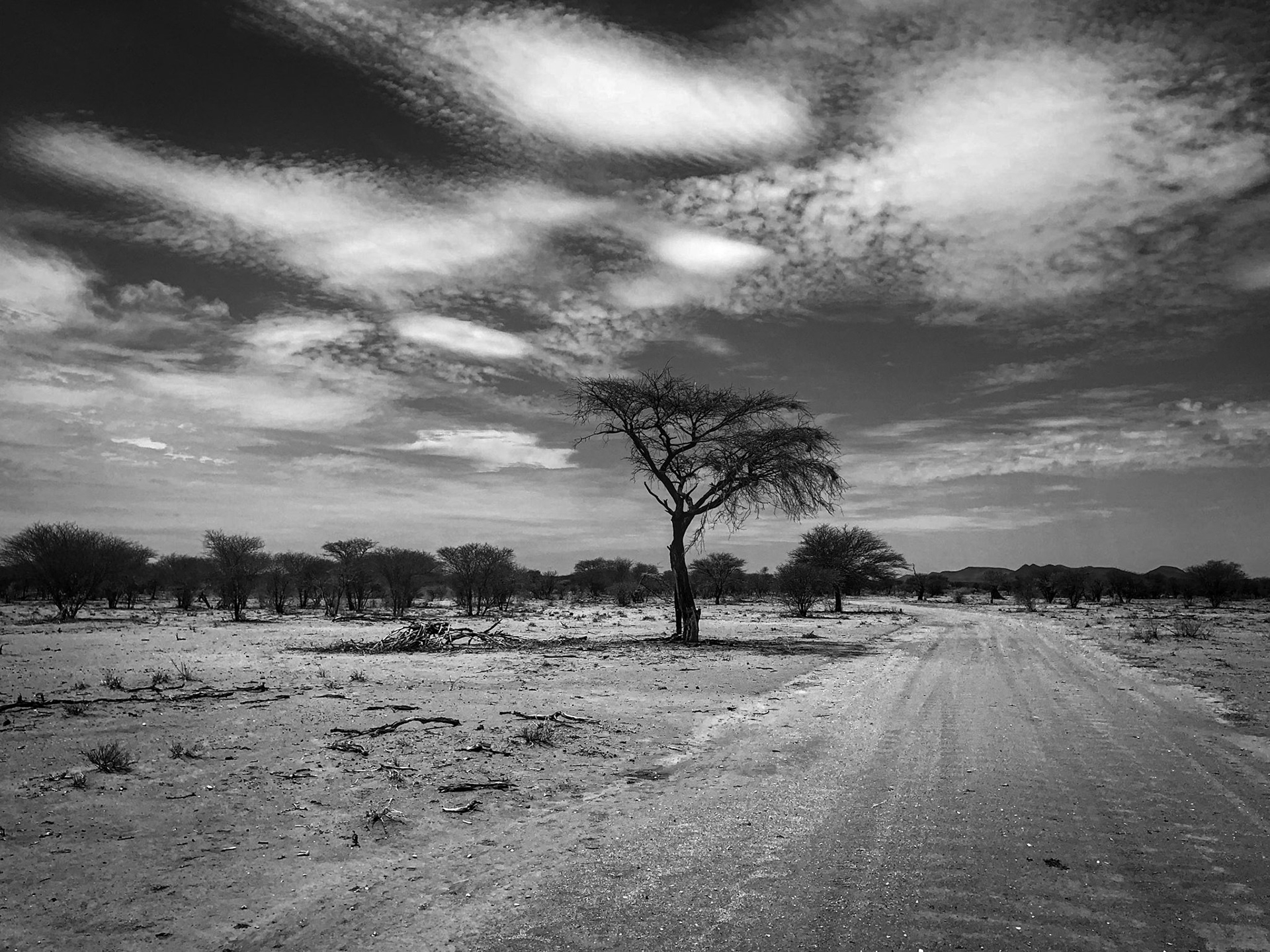 Erindi, Namibia ©McNairnPhotography