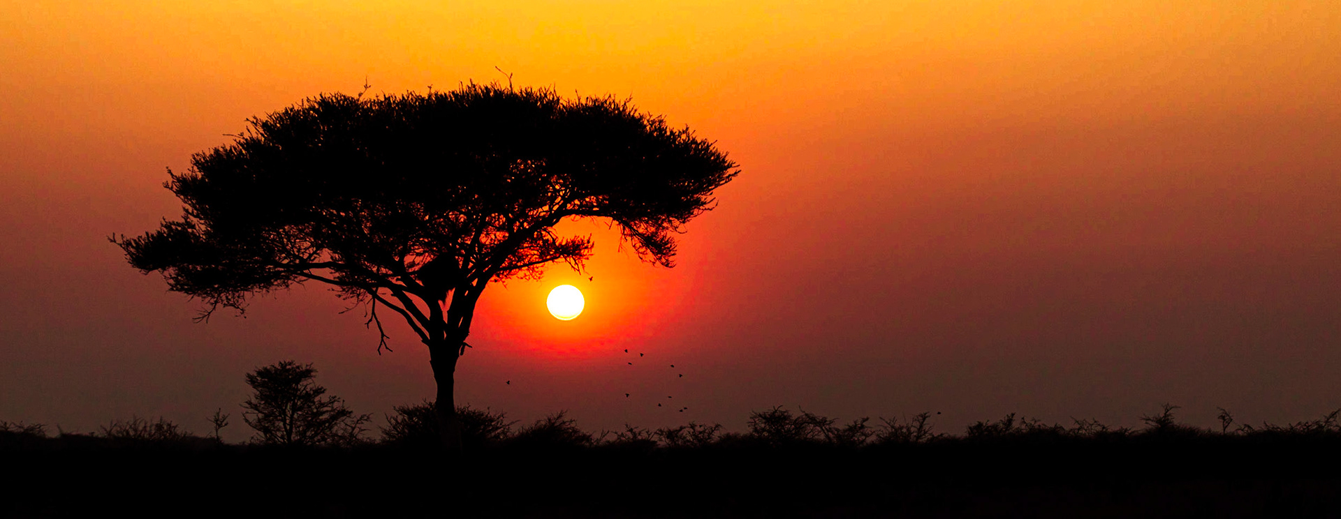 Botswana ©McNairnPhotography