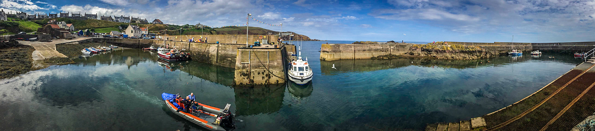 ©McNairnPhotography