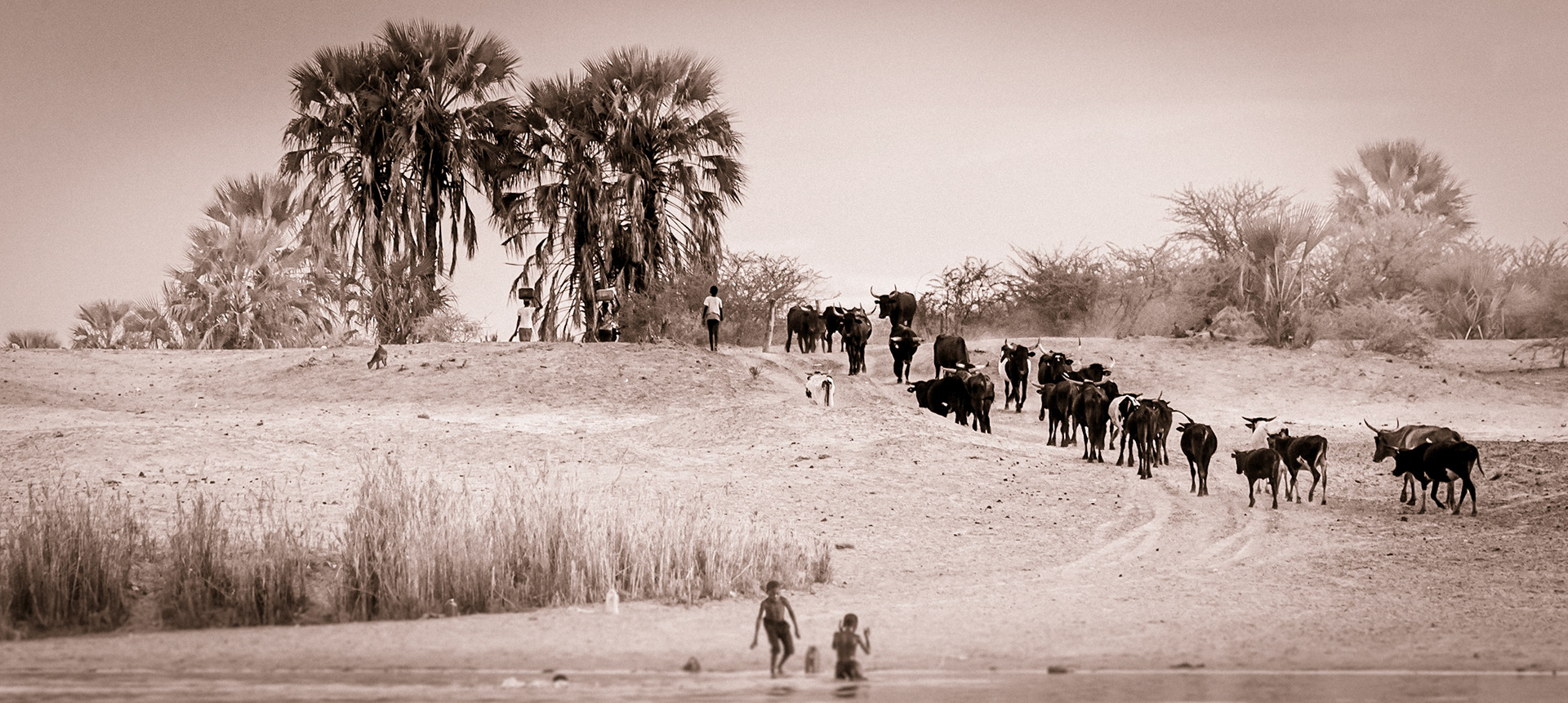 Etosha, Namibia ©McNairnPhotography