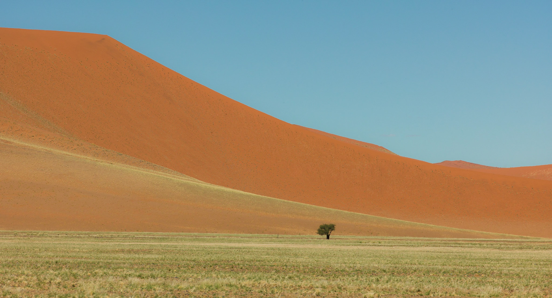 Namib Desert ©McNairnPhotography