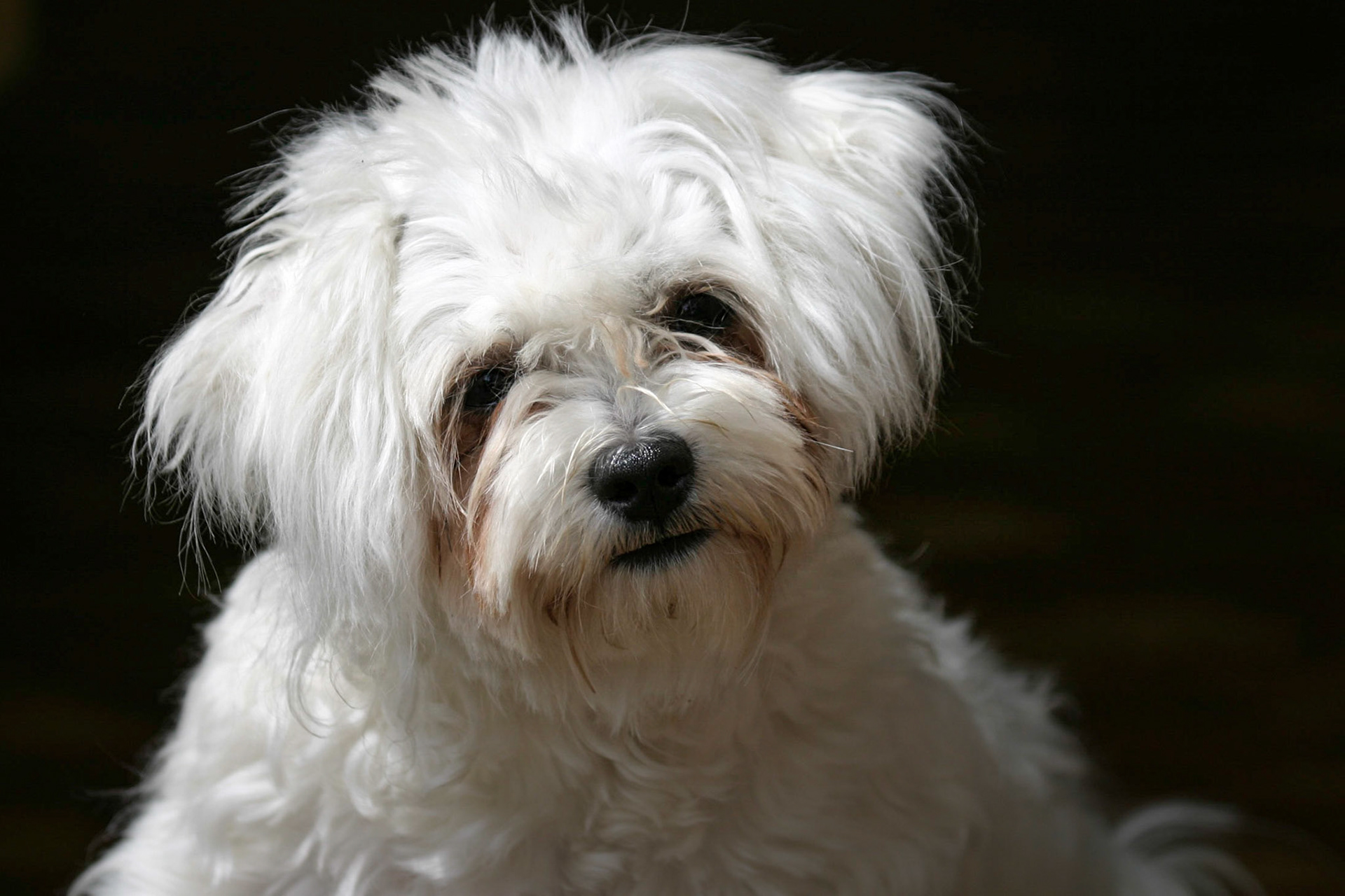 ©McNairnPhotography