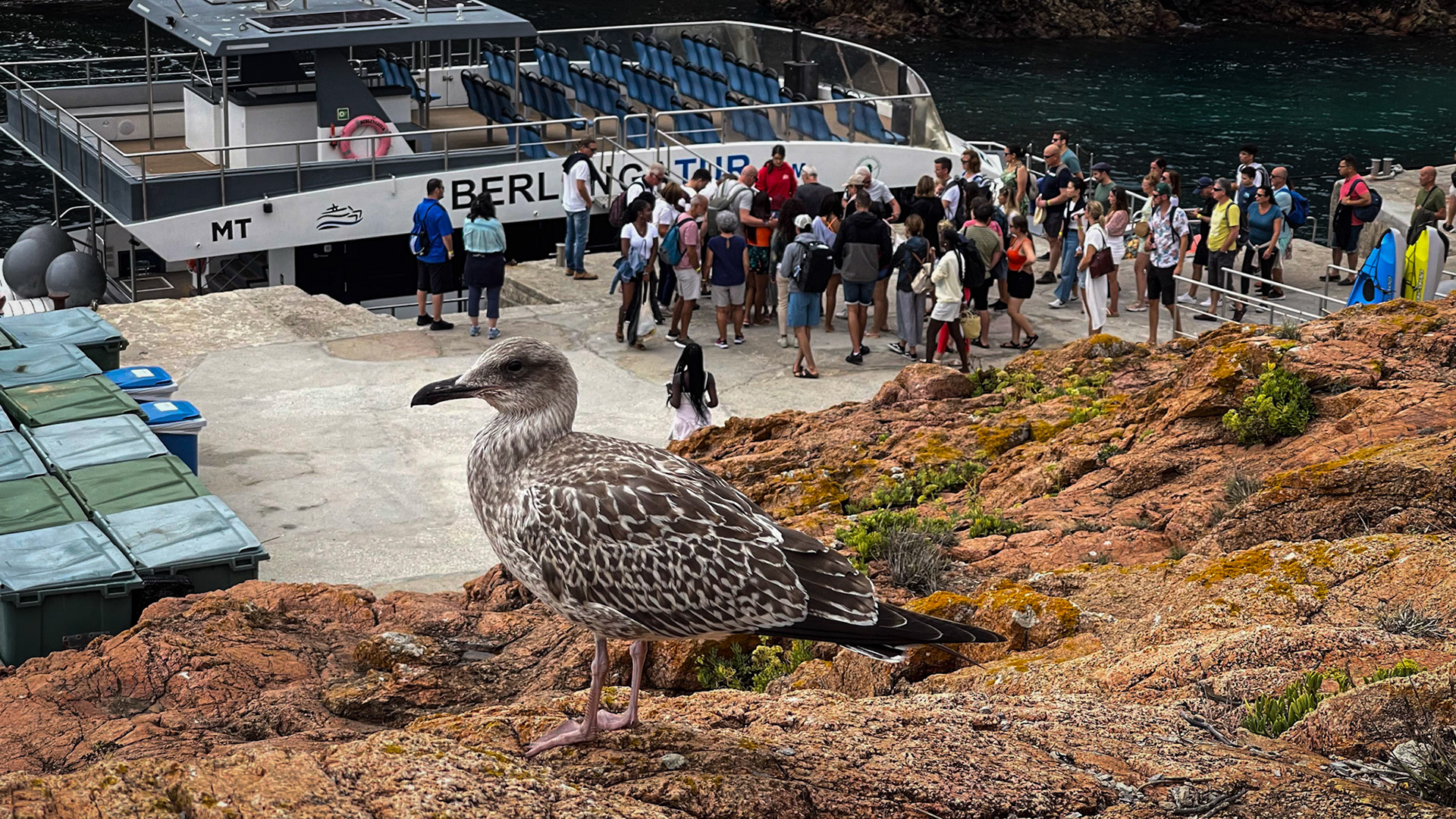 Reserva Natural das Berlengas