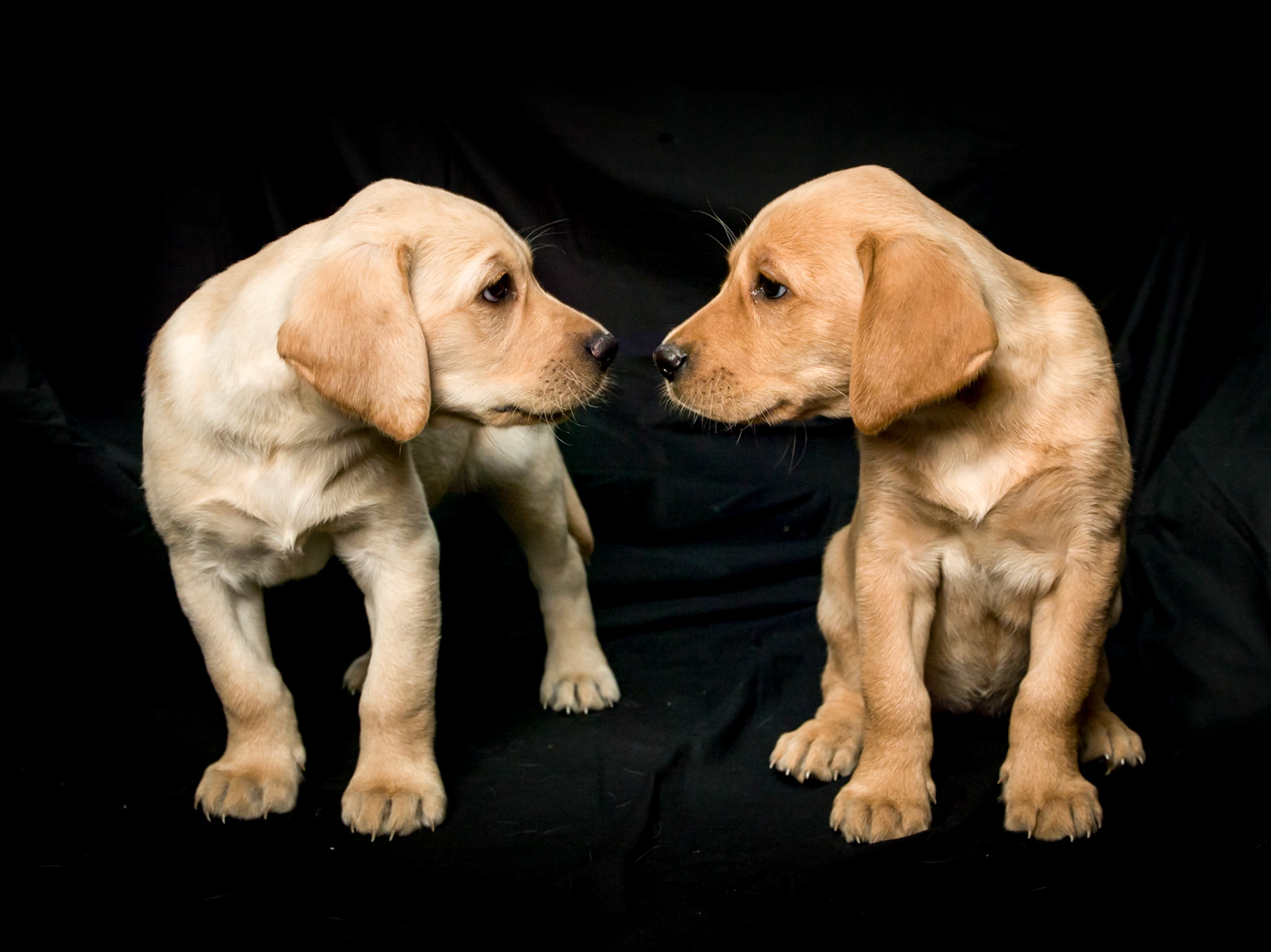 ©McNairnPhotography