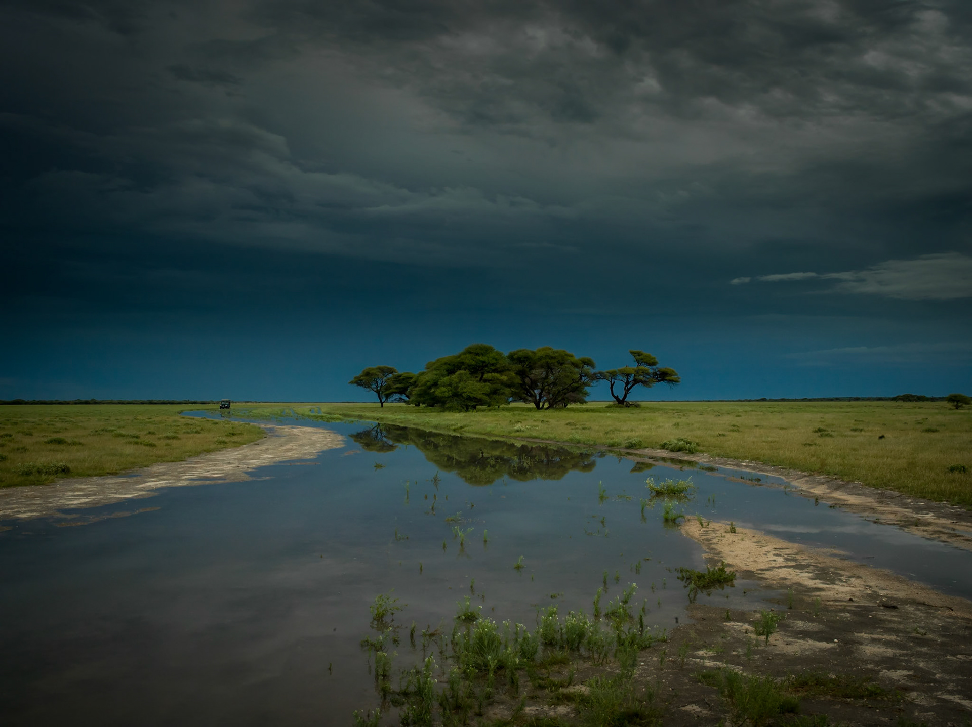 Botswana ©McNairnPhotography
