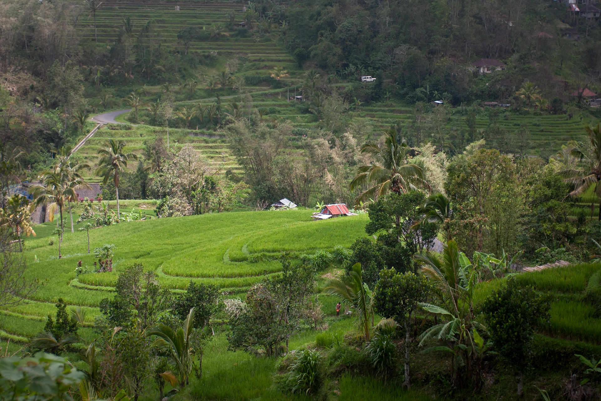 Bali ©McNairnPhotography