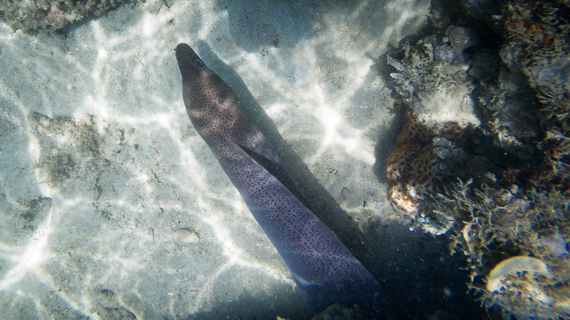 C:\DCIM\100GOPRO\GOPR6877.GPR