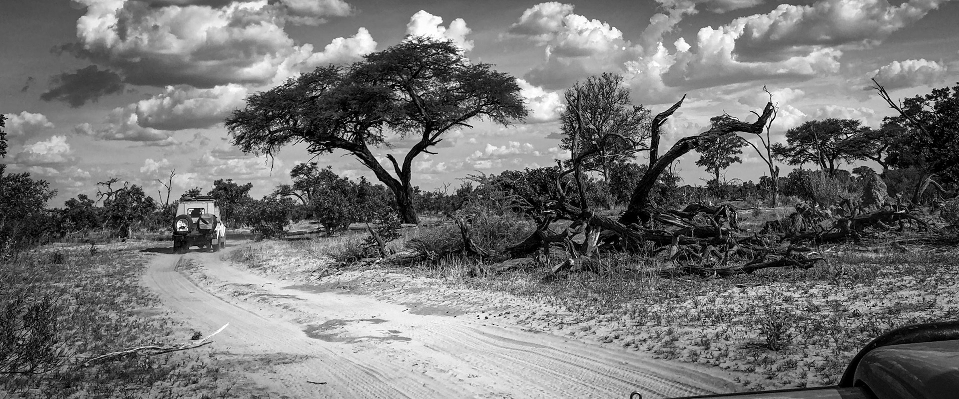 Khwai Botswana ©McNairnPhotography