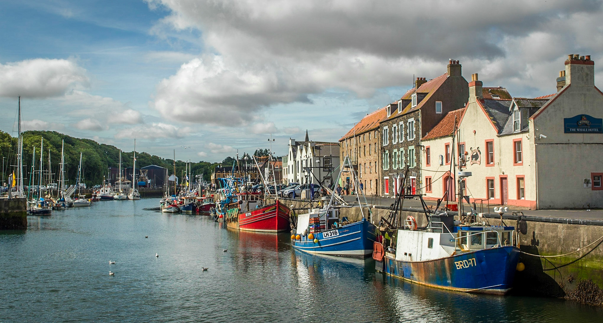 ©McNairnPhotography