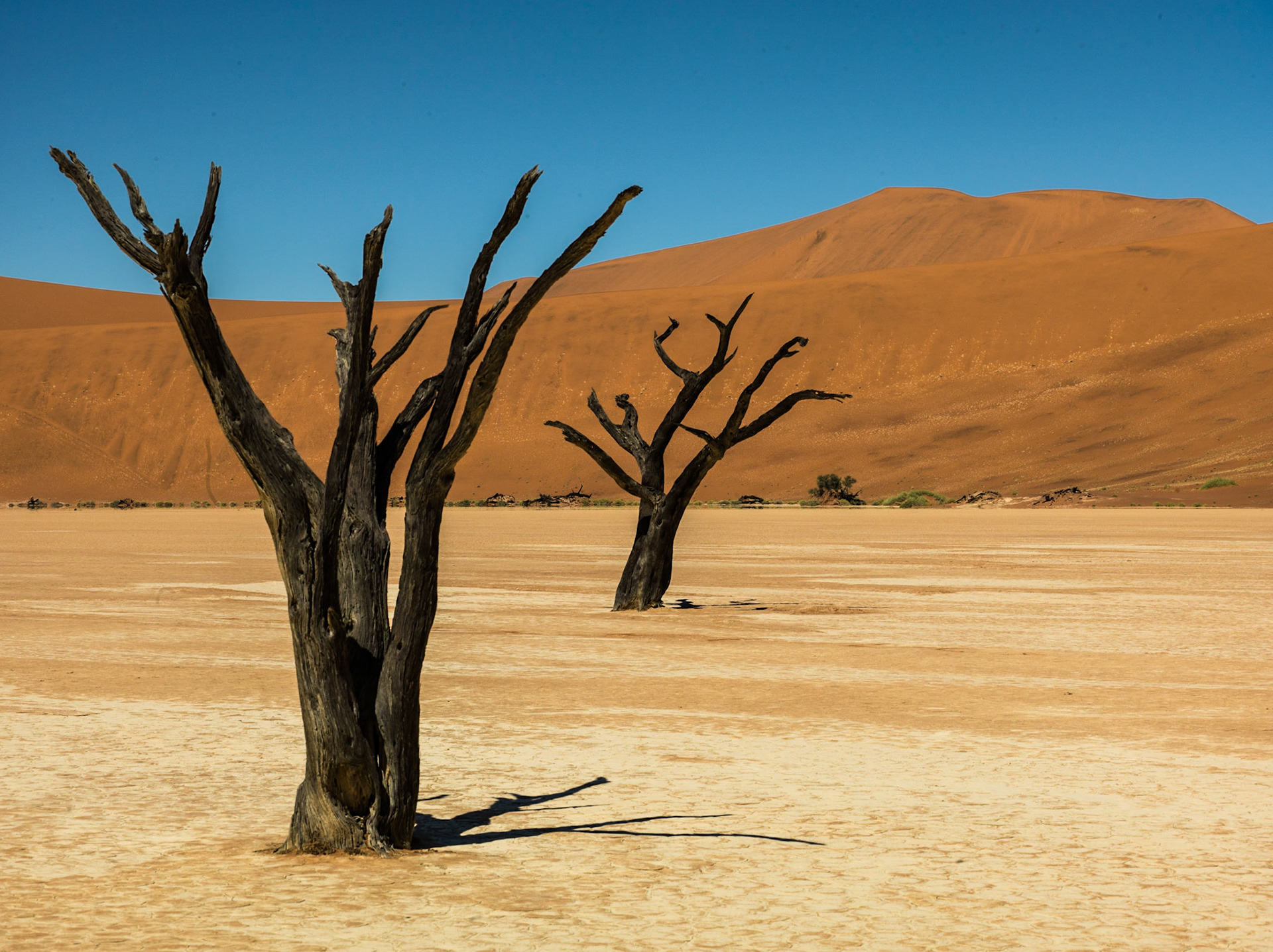 Sossus Vlei, Namibia ©McNairnPhotography