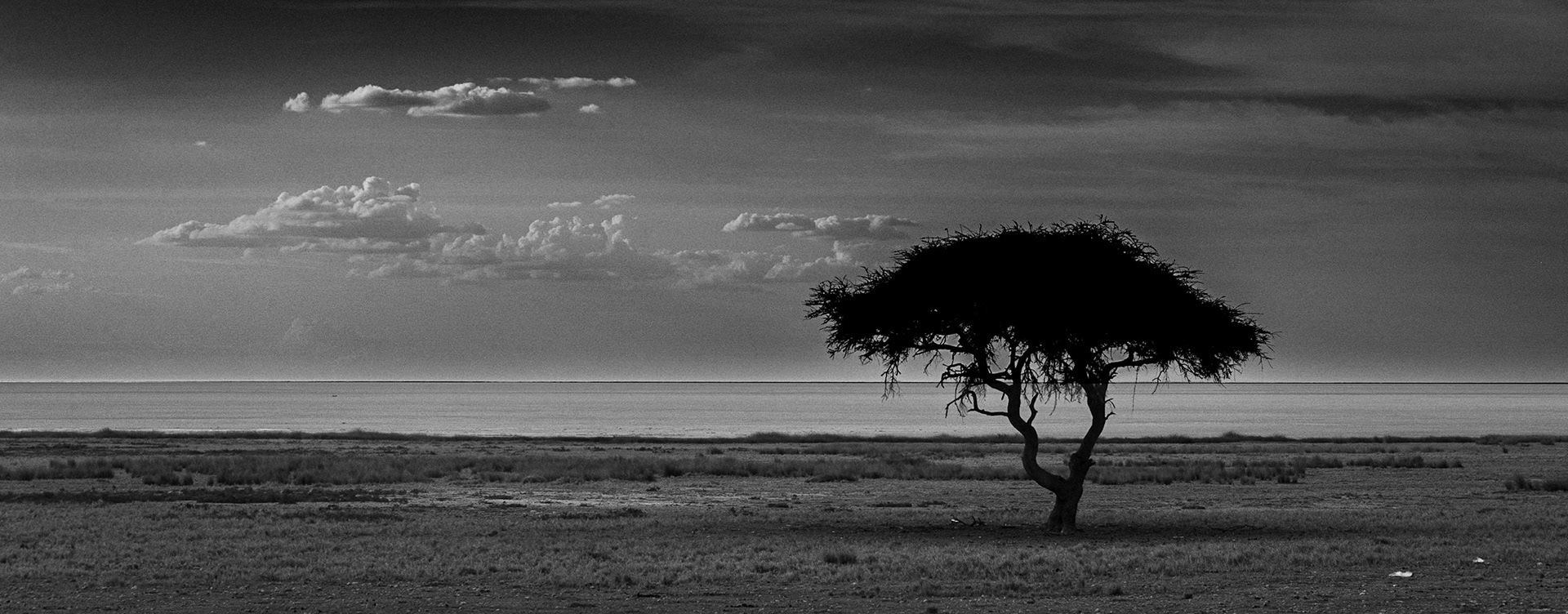 ©McNairnPhotography