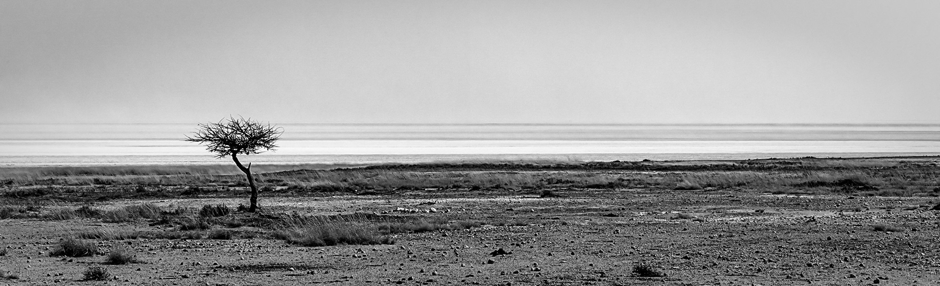 ©McNairnPhotography