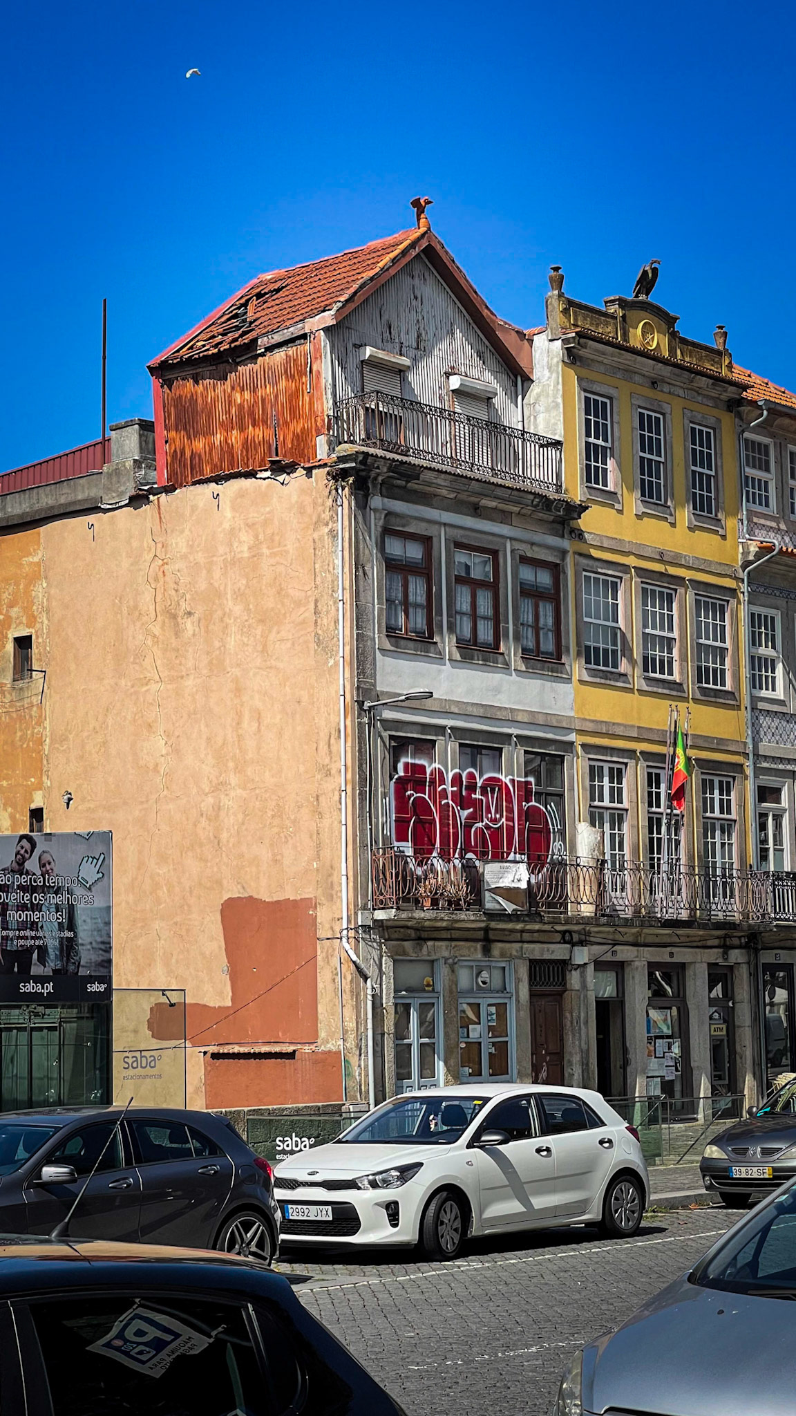 Corodoaria's Garden - Porto