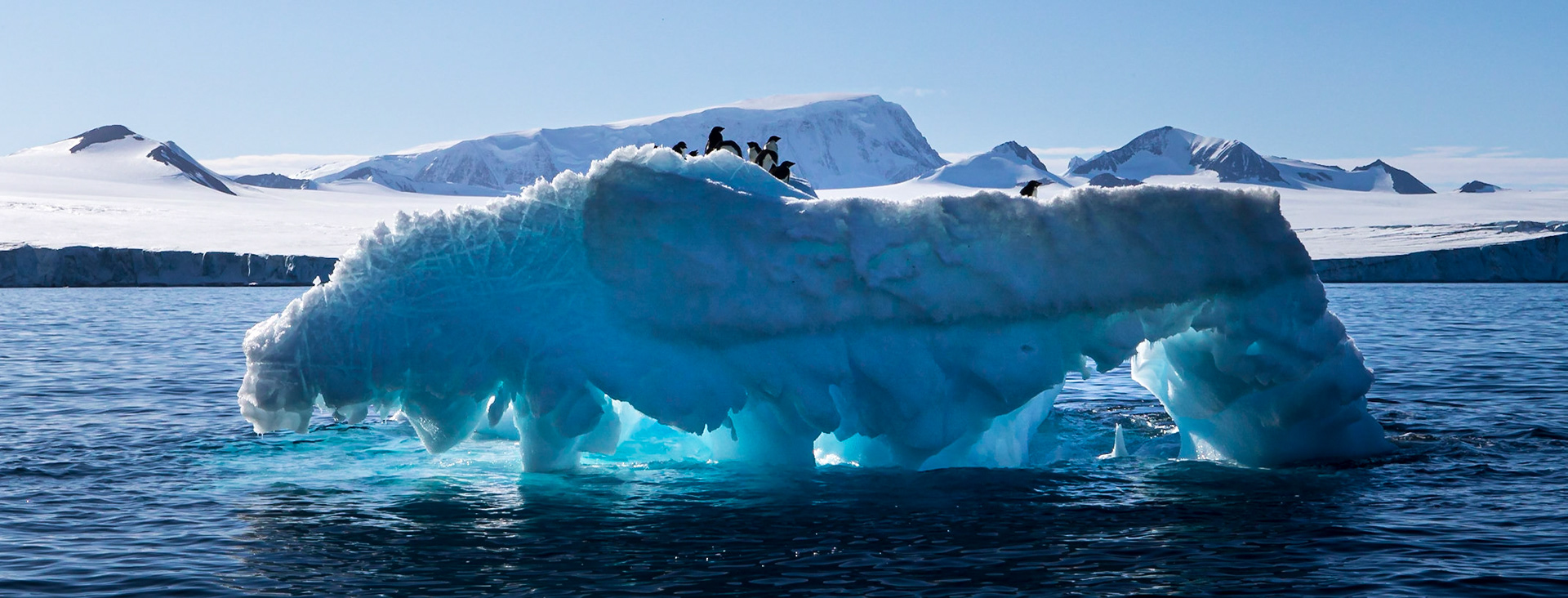 ©McNairnPhotography