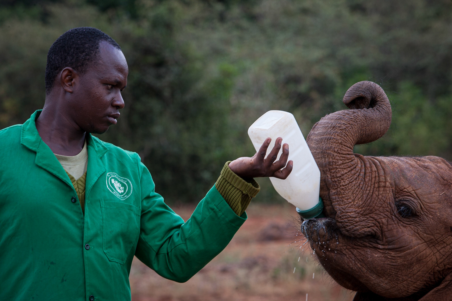 Sheldrick Wildlife Trust, Nairobi ©McNairnPhotography