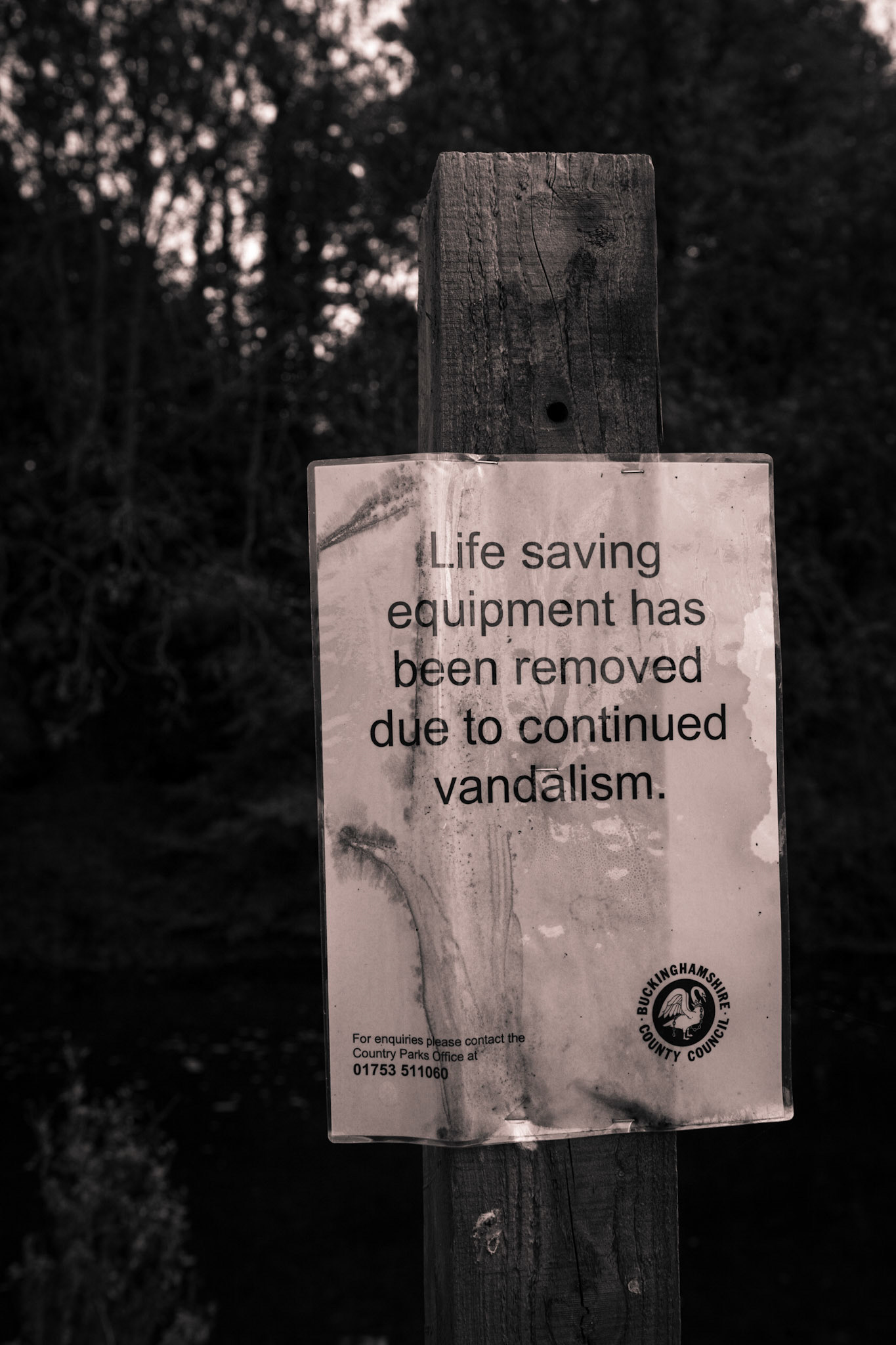 ©McNairnPhotography