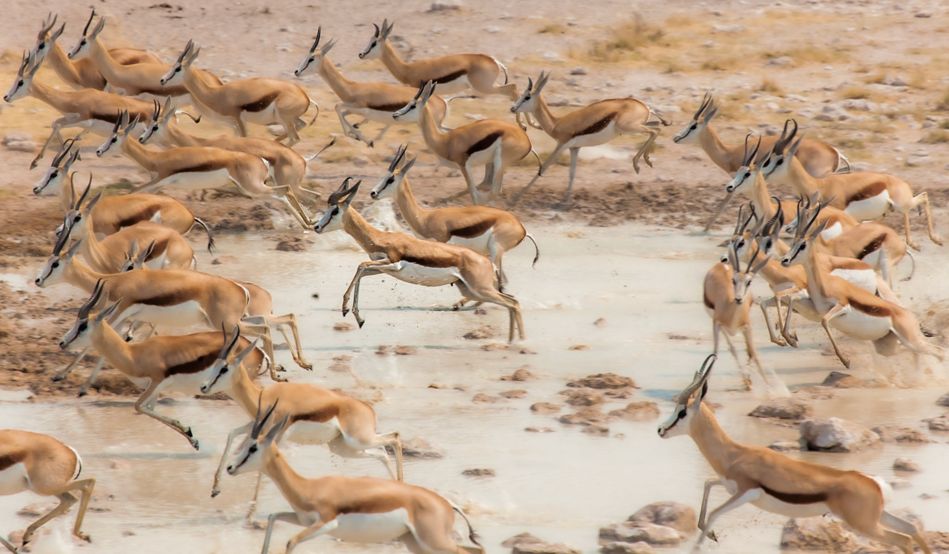 ©McNairnPhotography