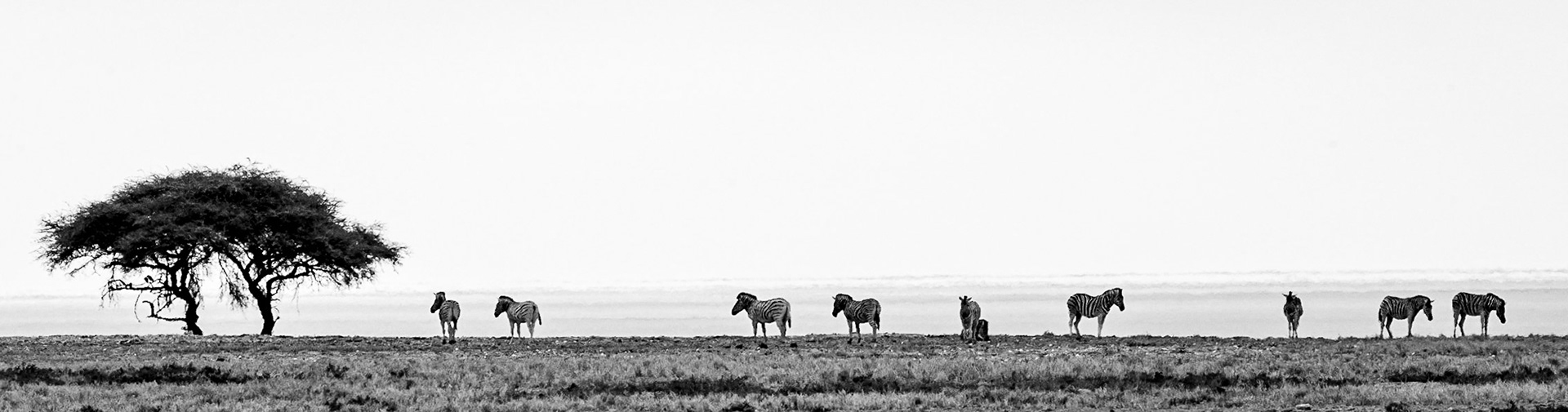 ©McNairnPhotography