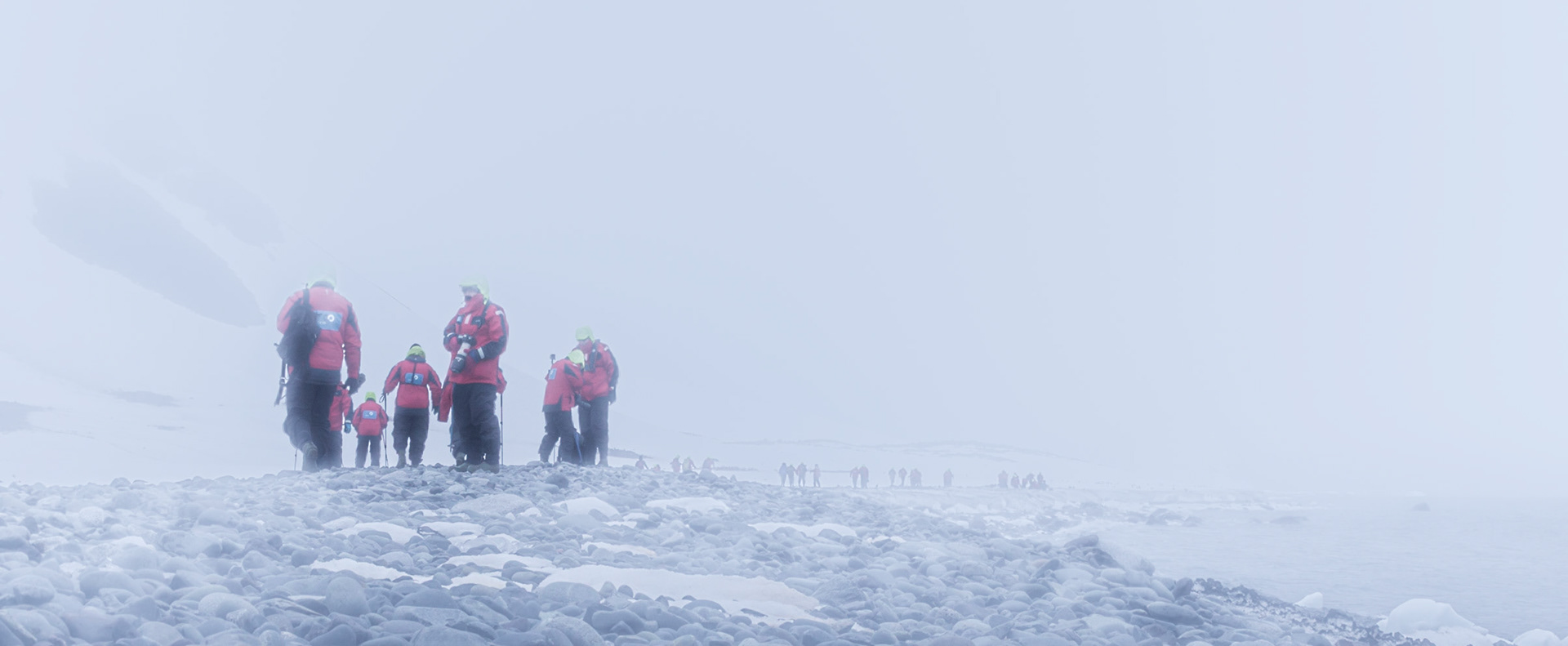 ©McNairnPhotography