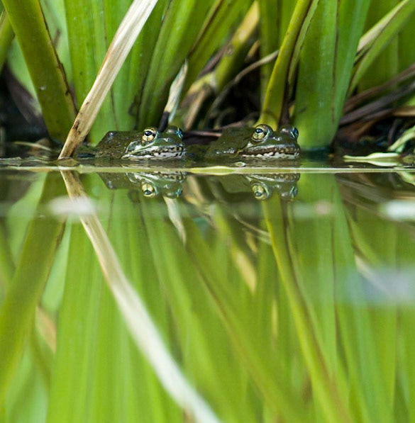 Beaufort West, South Africa ©McNairnPhotography