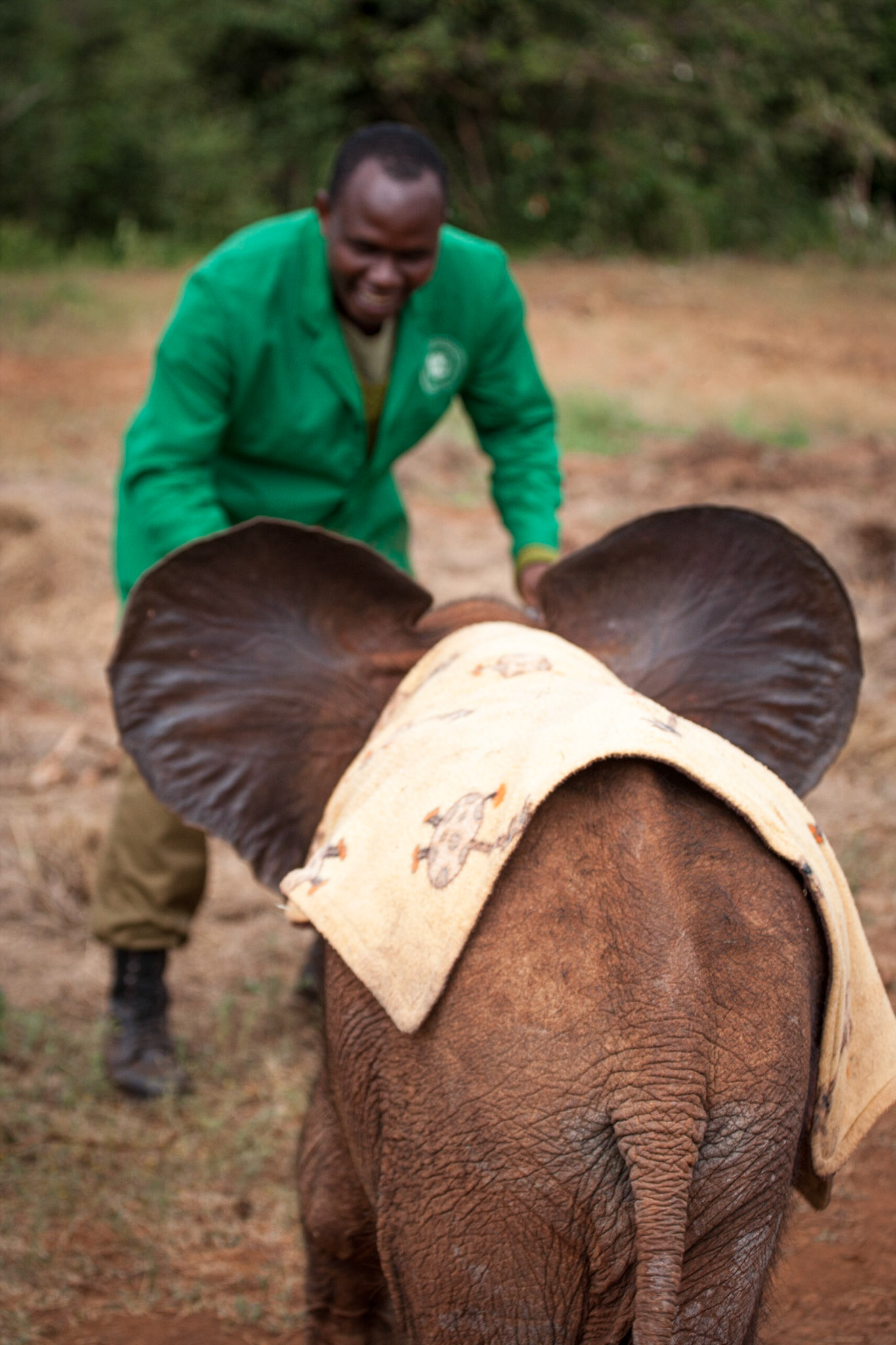 Sheldrick Wildlife Trust, Nairobi ©McNairnPhotography