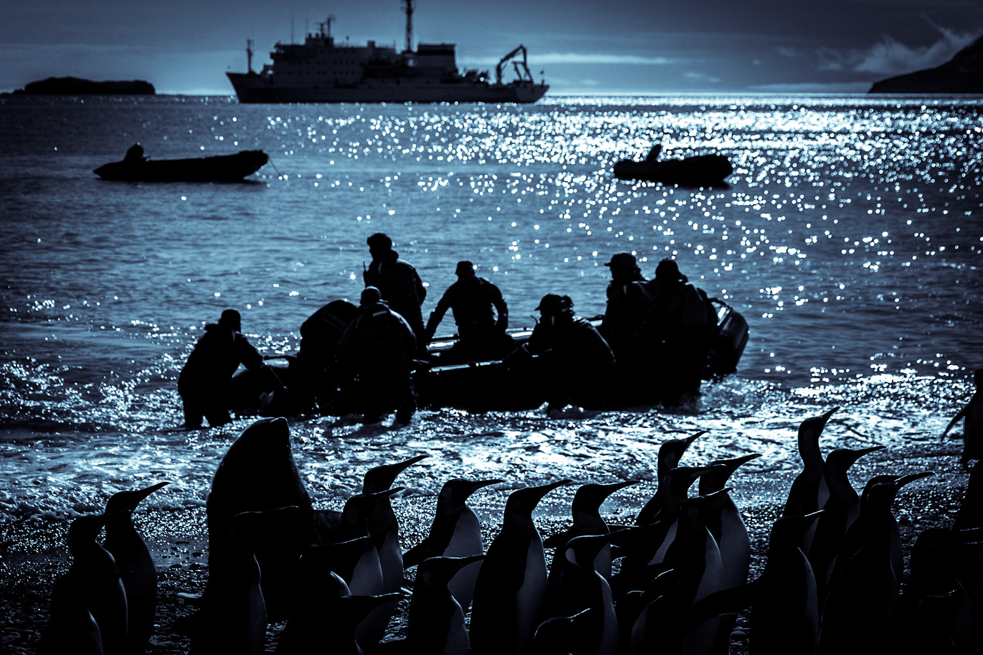 ©McNairnPhotography