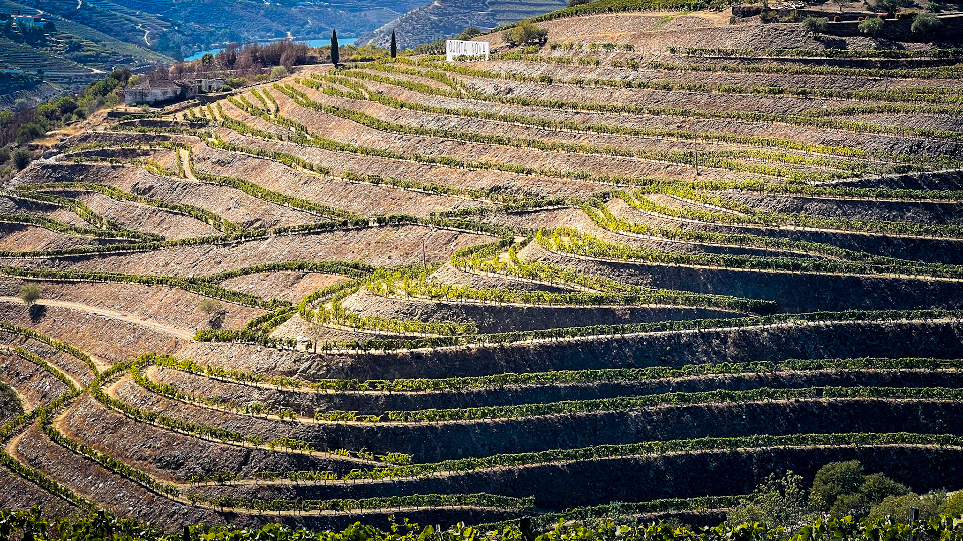 Quinta Nova