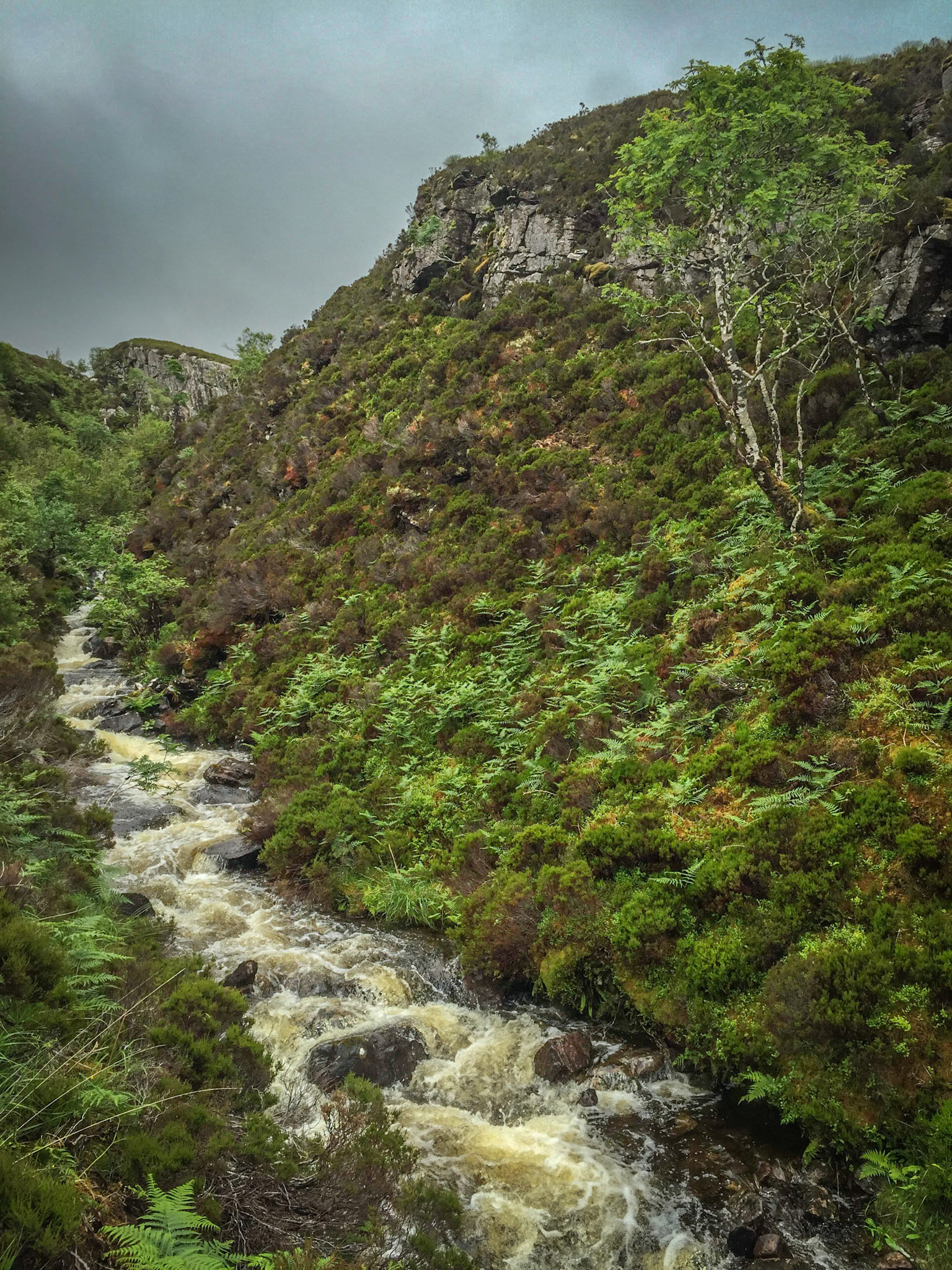 Scottish Highlands ©McNairnPhotography