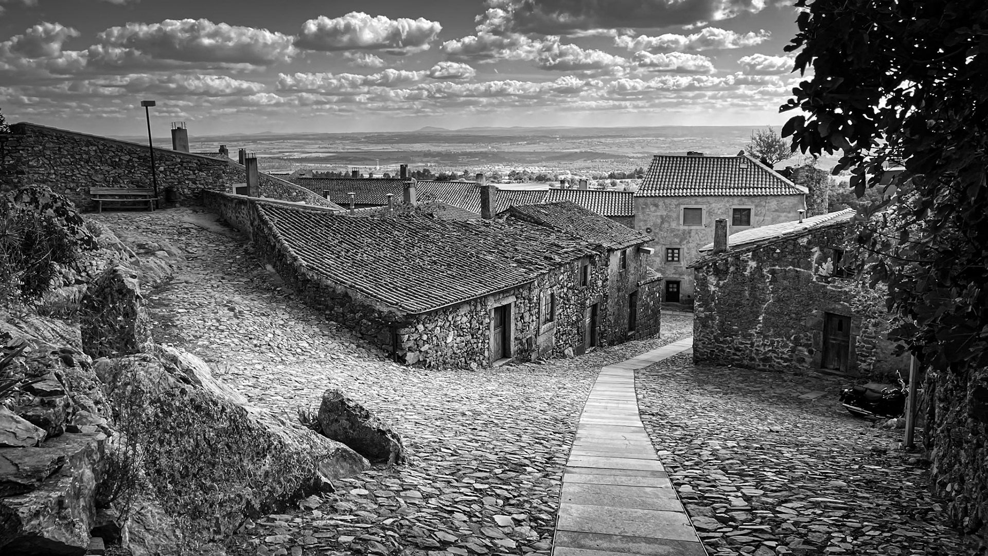 ©McNairnPhotography