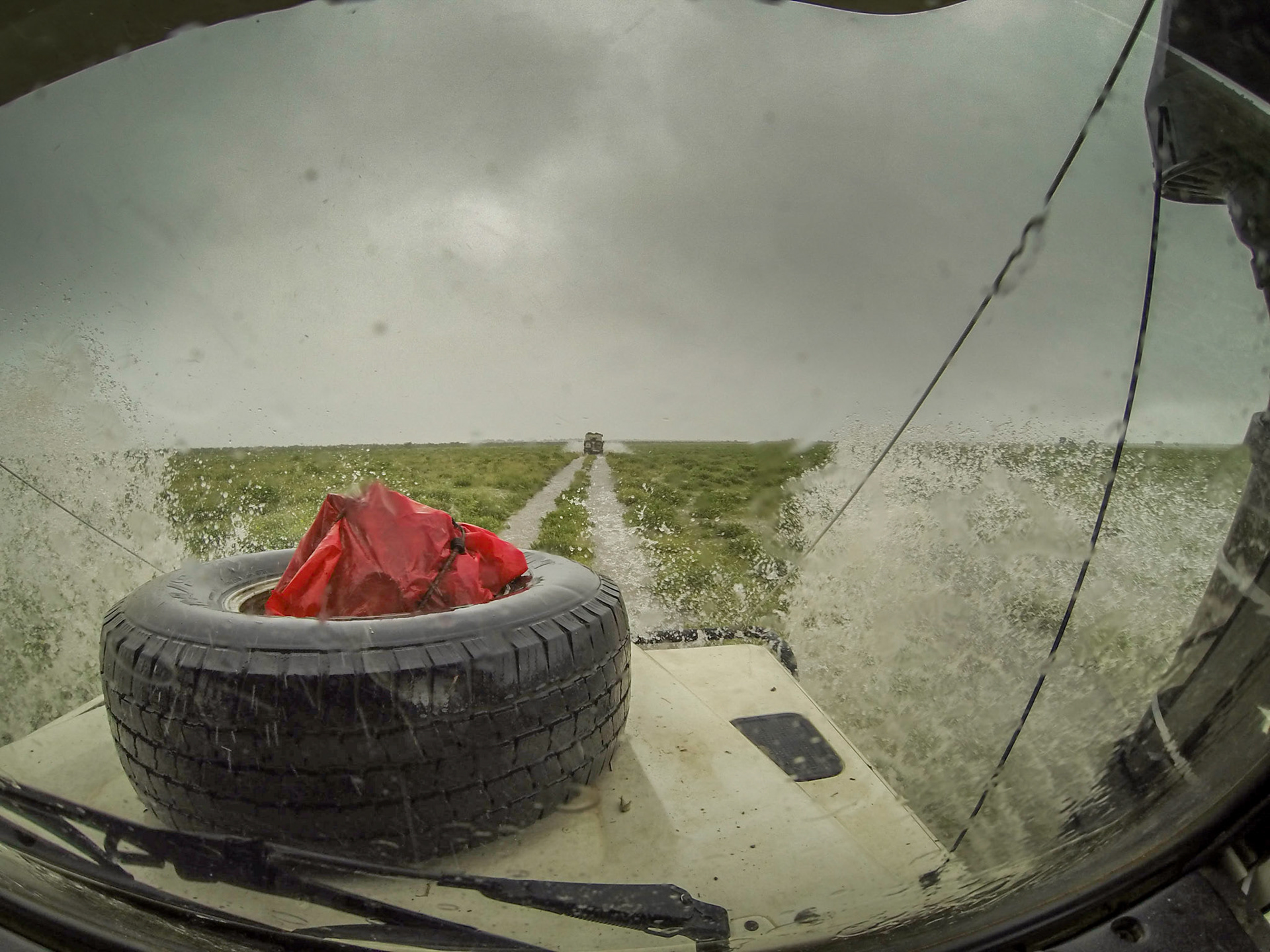 Botswana ©McNairnPhotography