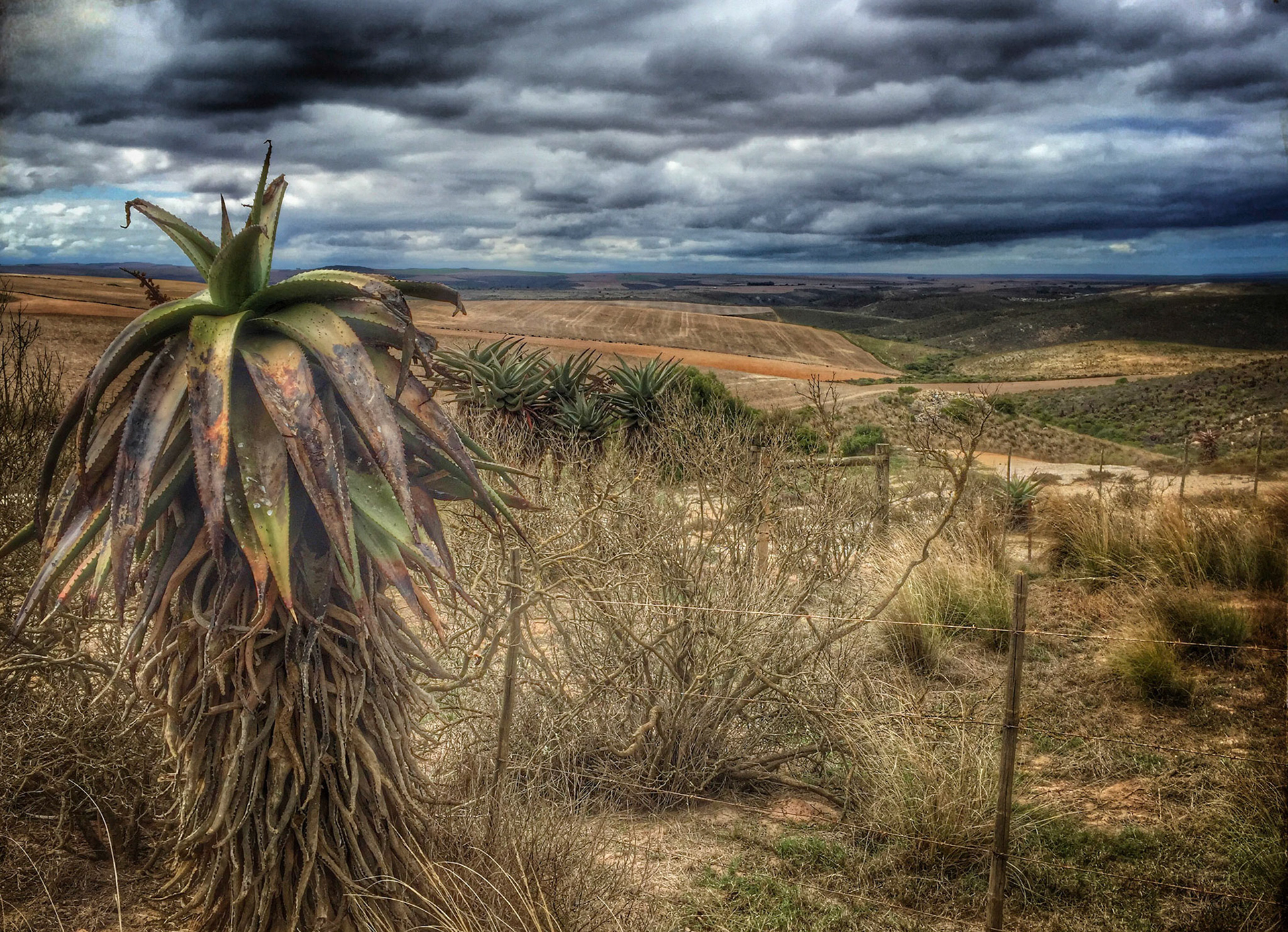 Overberg, South Africa ©McNairnPhotography