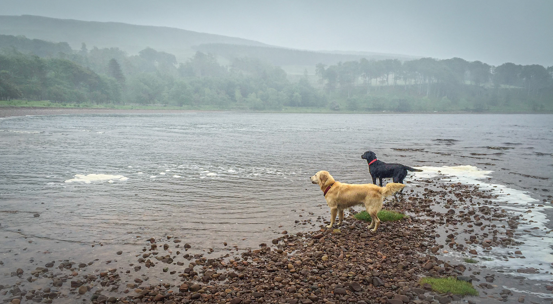 Scottish Highlands ©McNairnPhotography