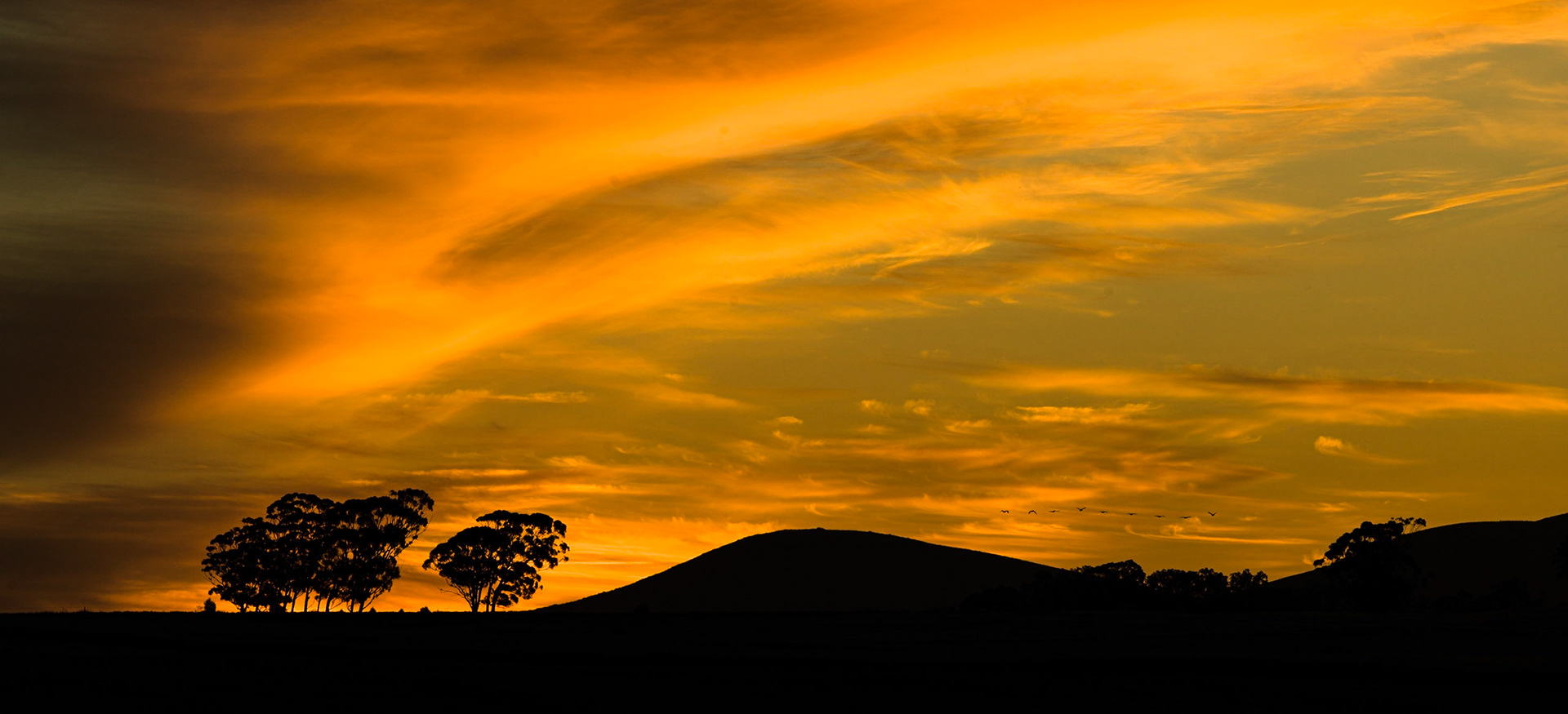 Western Cape, South Africa ©McNairnPhotography
