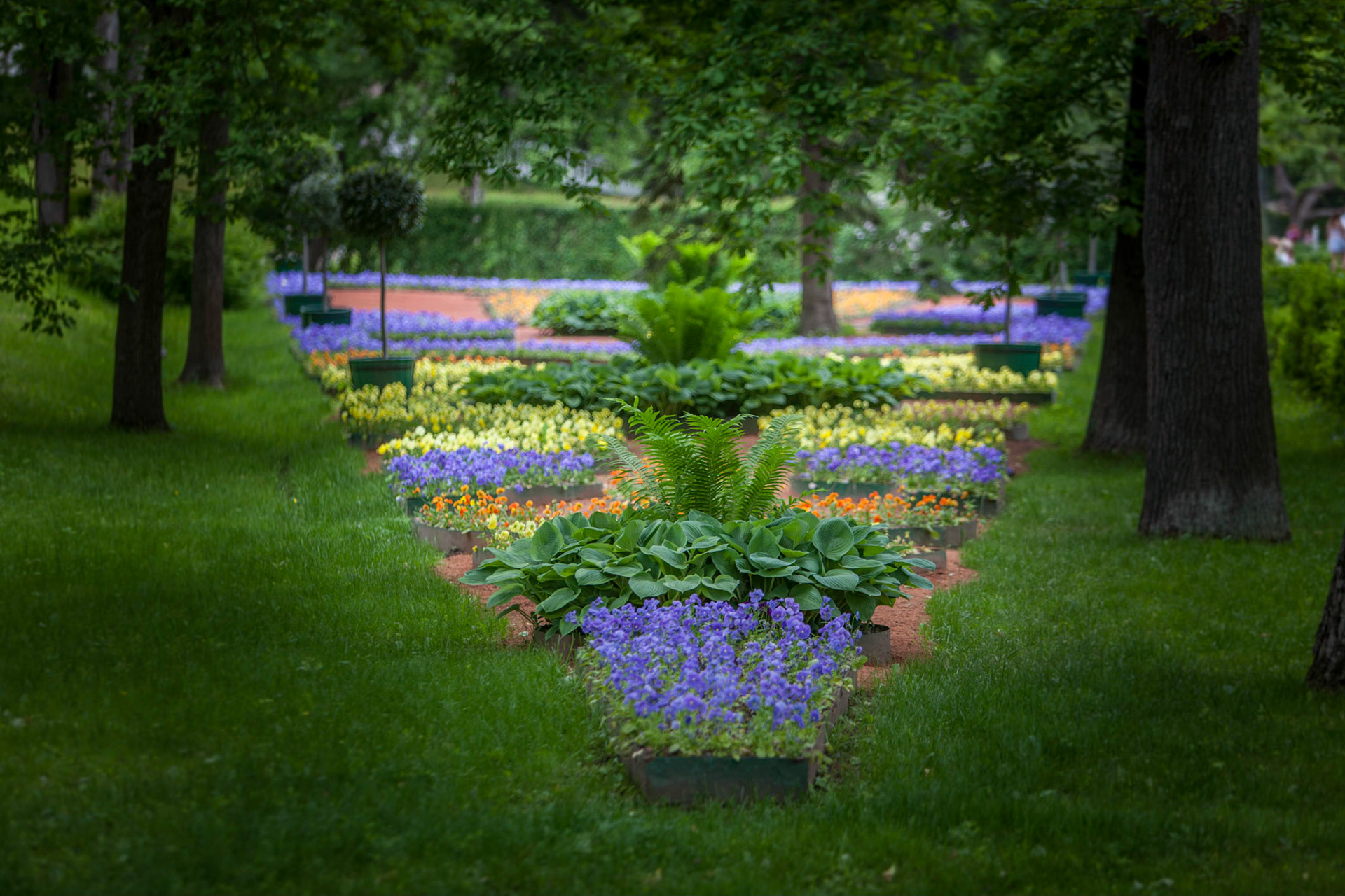 St Petersburg, Russian Federation ©McNairnPhotography