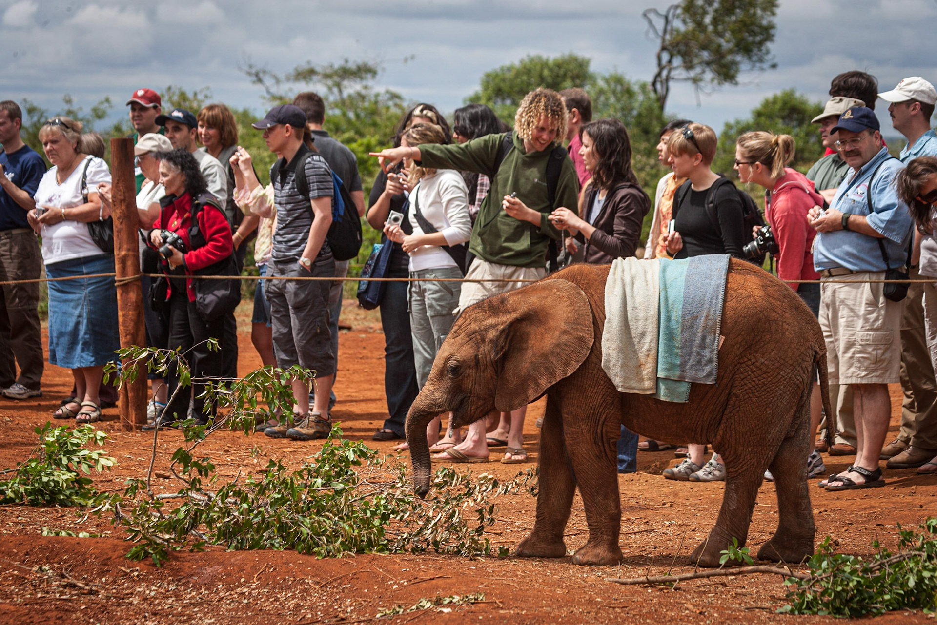 Sheldrick Wildlife Trust, Nairobi ©McNairnPhotography