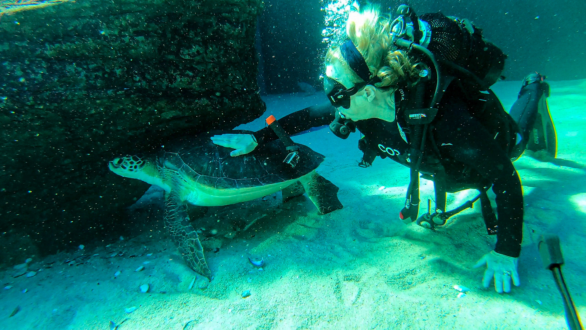 Two Oceans Aquarium ©McNairnPhotography