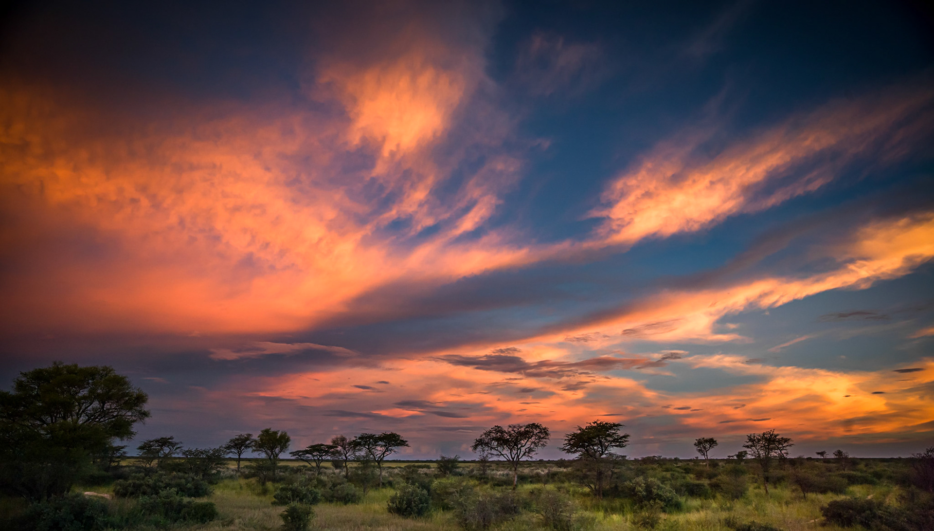 CKD, Botswana ©McNairnPhotography