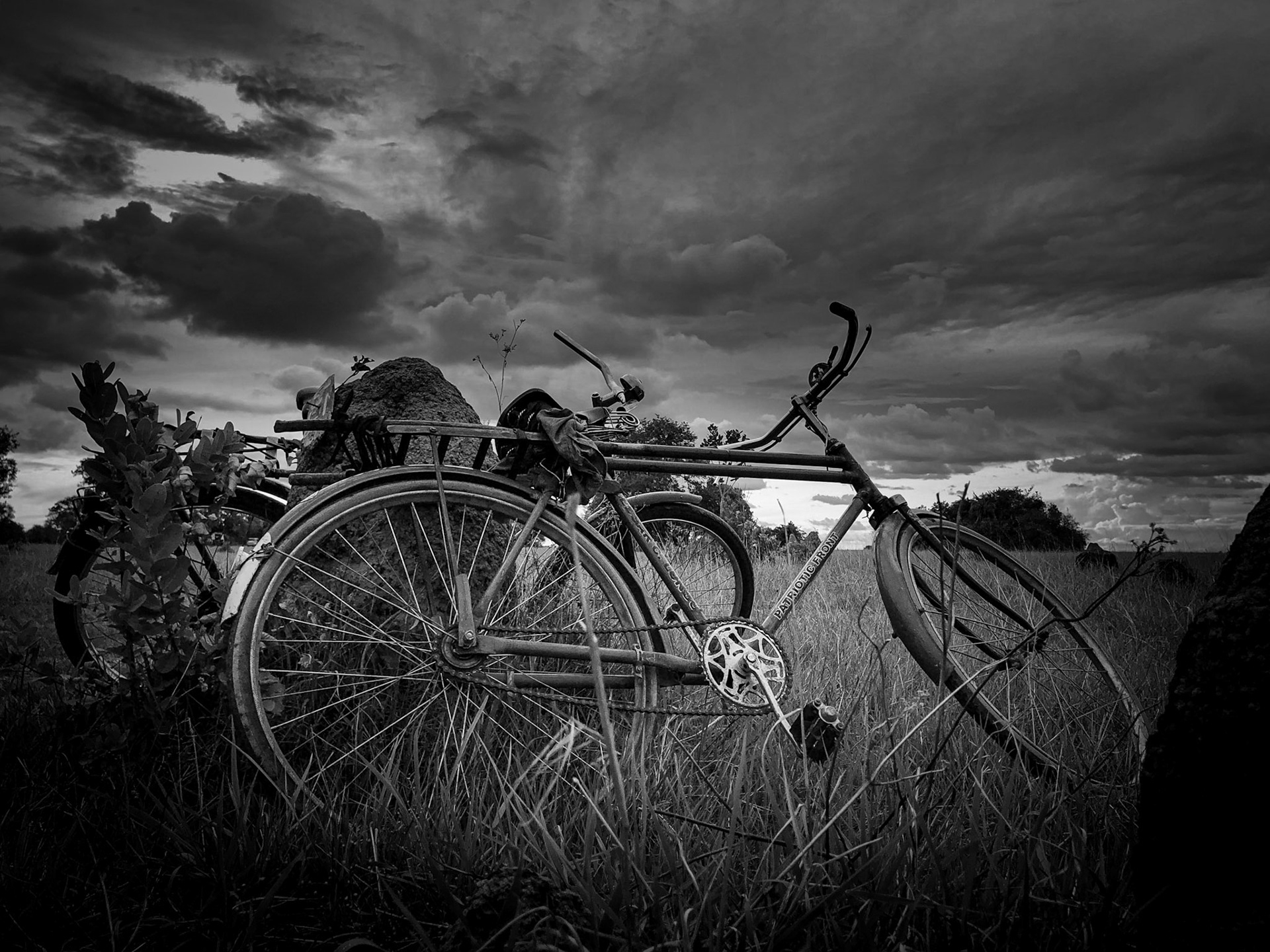 ©McNairnPhotography